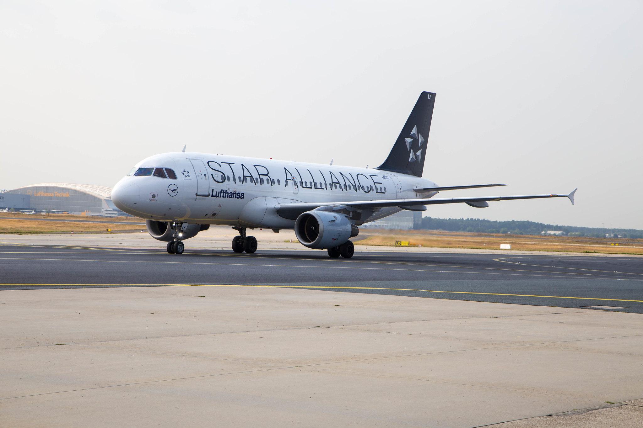 Frankfurt Airport: Lufthansa (LH / DLH) |  Livery: Star Alliance Livery |  Airbus A319-114 A319 | D-AILF | MSN 0636