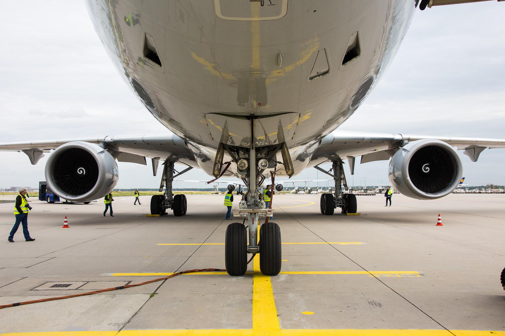 Frankfurt Airport: Lufthansa Cargo (/ GEC) |  McDonnell Douglas MD-11F MD11 | D-ALCH | MSN 48801