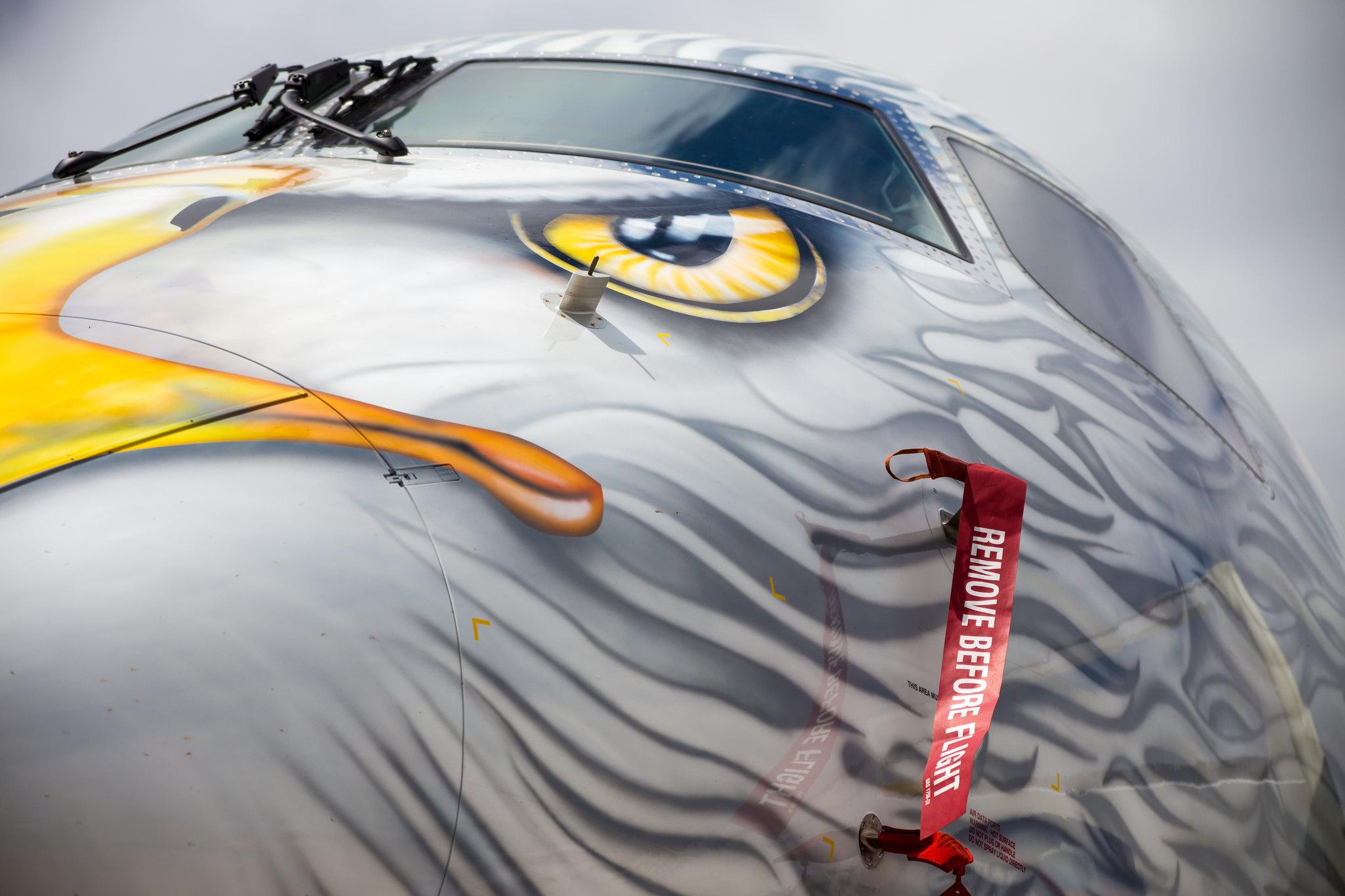 Paris Air Show: Embraer (/ EMB) |  Embraer E195-E2 E295 | PR-ZIJ | MSN 19020005