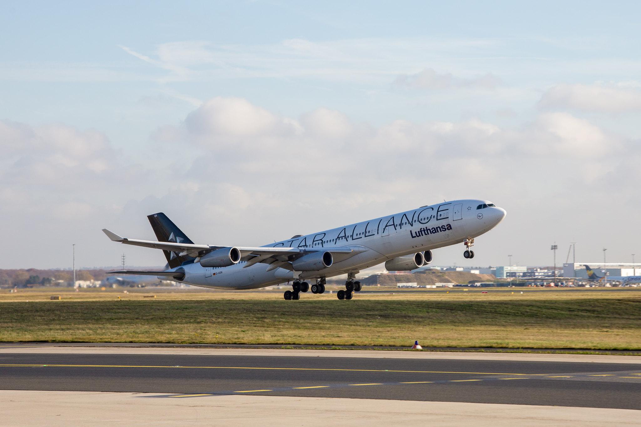 Frankfurt Airport: Lufthansa (LH / DLH) |  Livery: Star Alliance Livery |  Airbus A340-313 A343 | D-AIGN | MSN 0213
