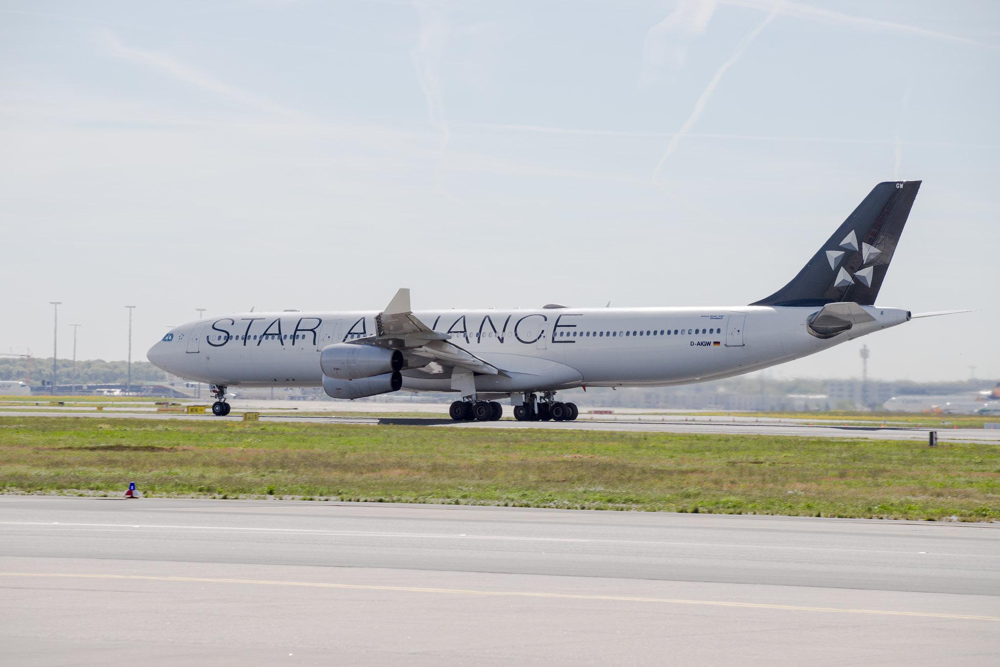 Frankfurt Airport: Lufthansa (LH / DLH) |  Livery: Star Alliance Livery |  Airbus A340-313 A343 | D-AIGW | MSN 0327