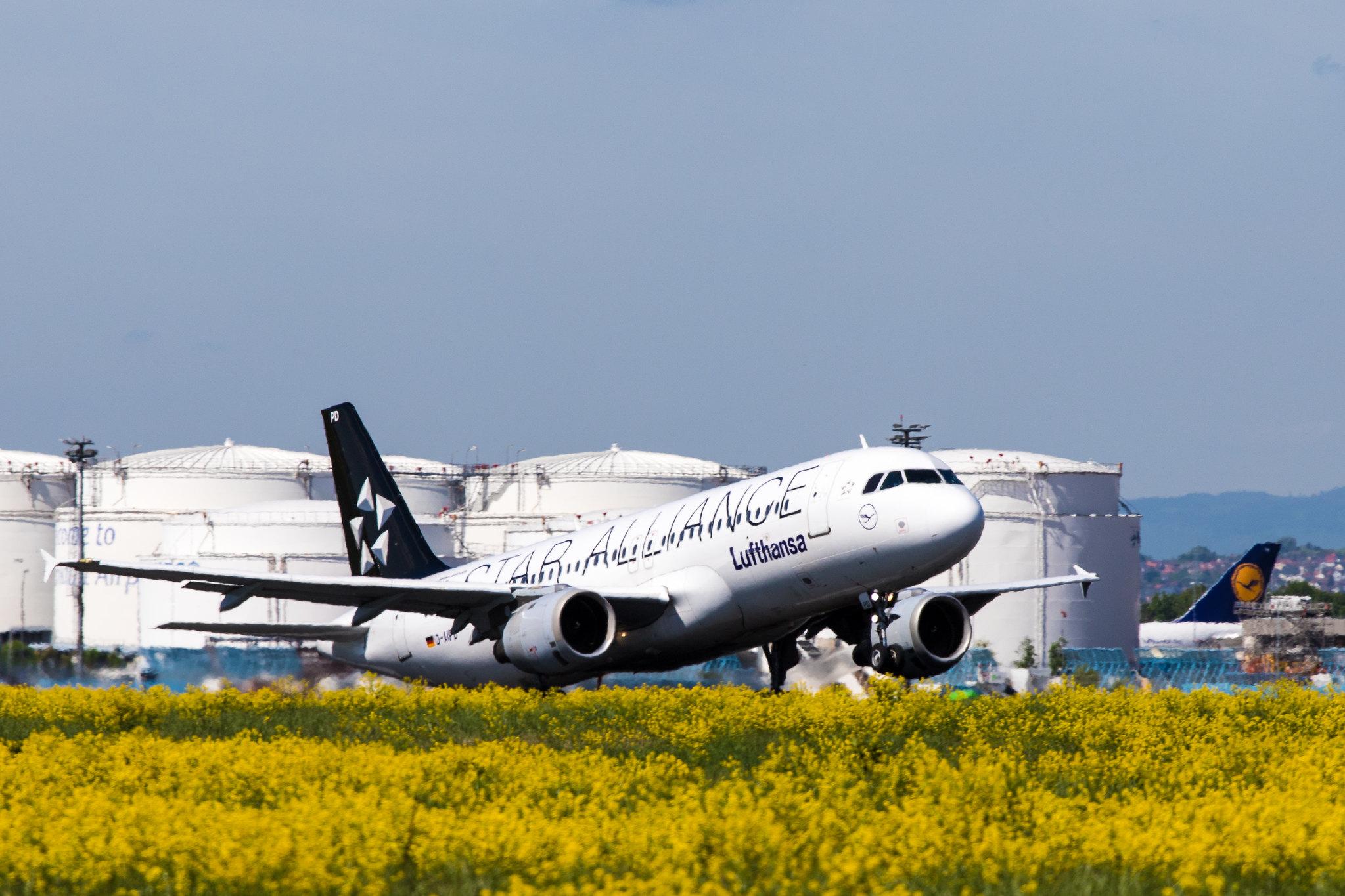 Frankfurt Airport: Lufthansa (LH / DLH) |  Livery: Star Alliance Livery |  Airbus A320-211 A320 | D-AIPD | MSN 0072