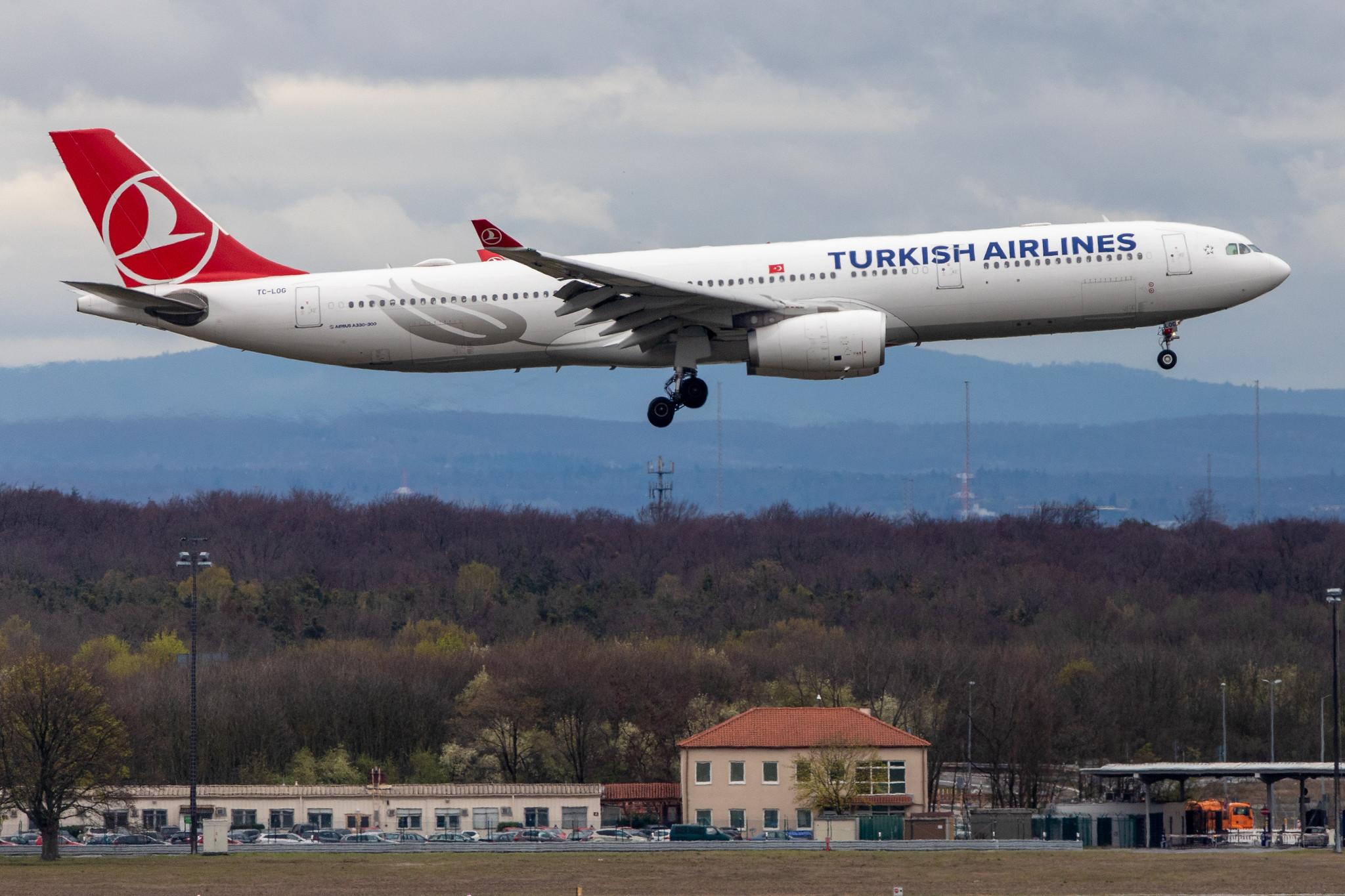 Frankfurt Airport: Turkish Airlines (TK / THY) |  Airbus A330-343 A333 | TC-LOG | MSN 1651