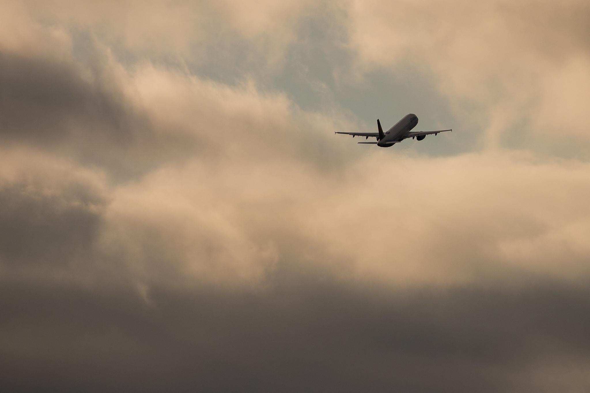 Hamburg Airport: Lufthansa (LH / DLH) |  Airbus A321-131 A321 | D-AIRO | MSN 0563
