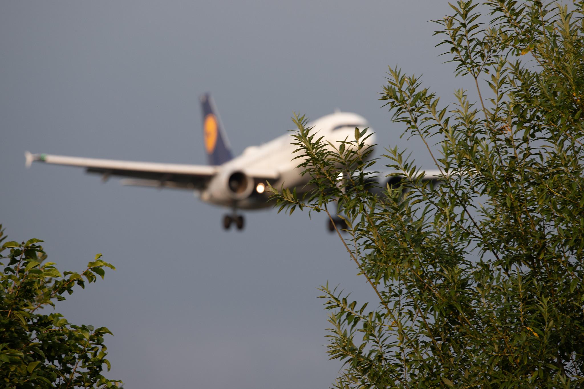 Hamburg Airport: Lufthansa (LH / DLH) | Airbus A319-112 A319 | D-AIBG | MSN 4841