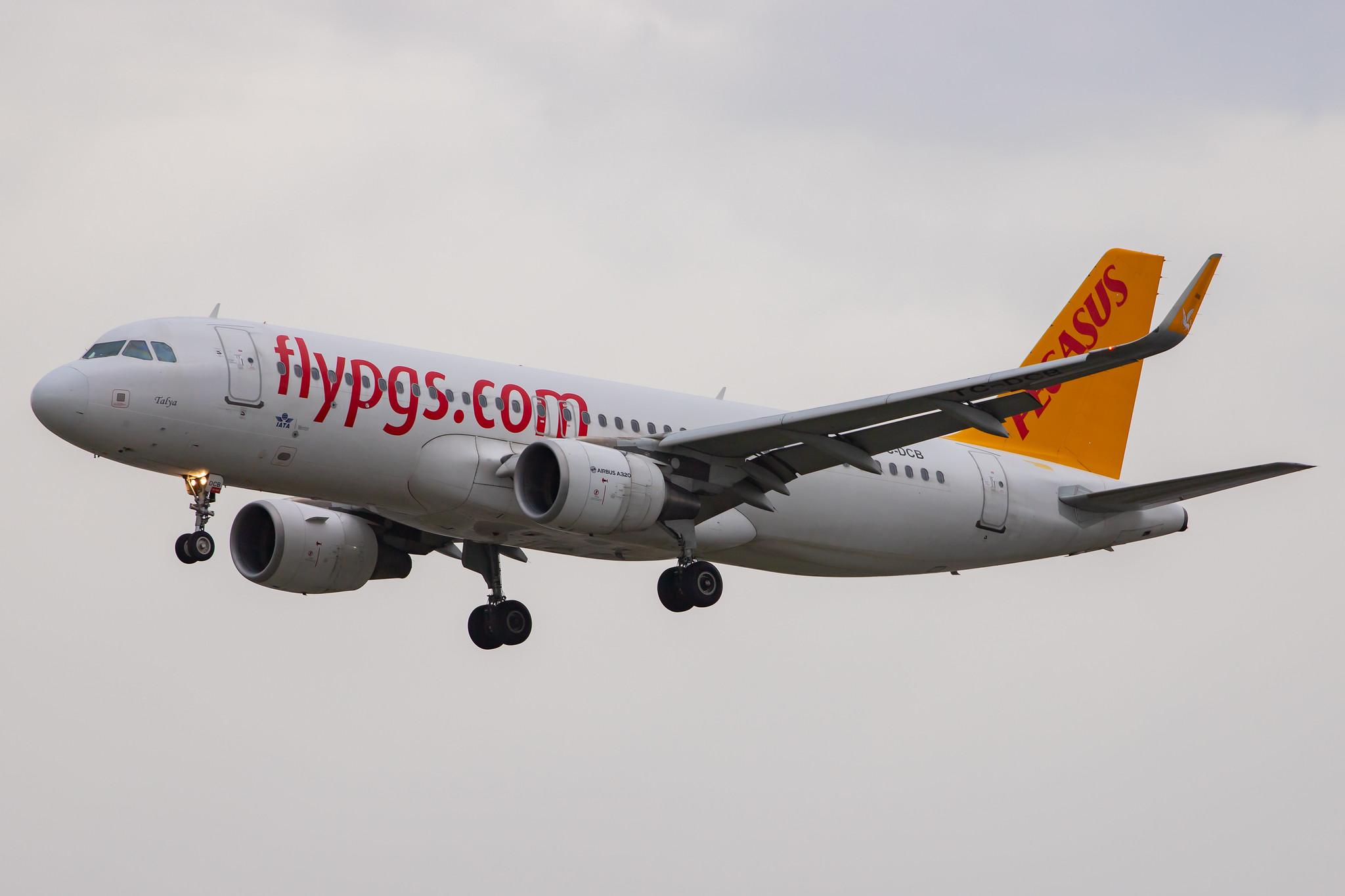 Frankfurt Airport: Pegasus Airlines (PC / PGT) |  Airbus A320-214 A320 | TC-DCB | MSN 5902