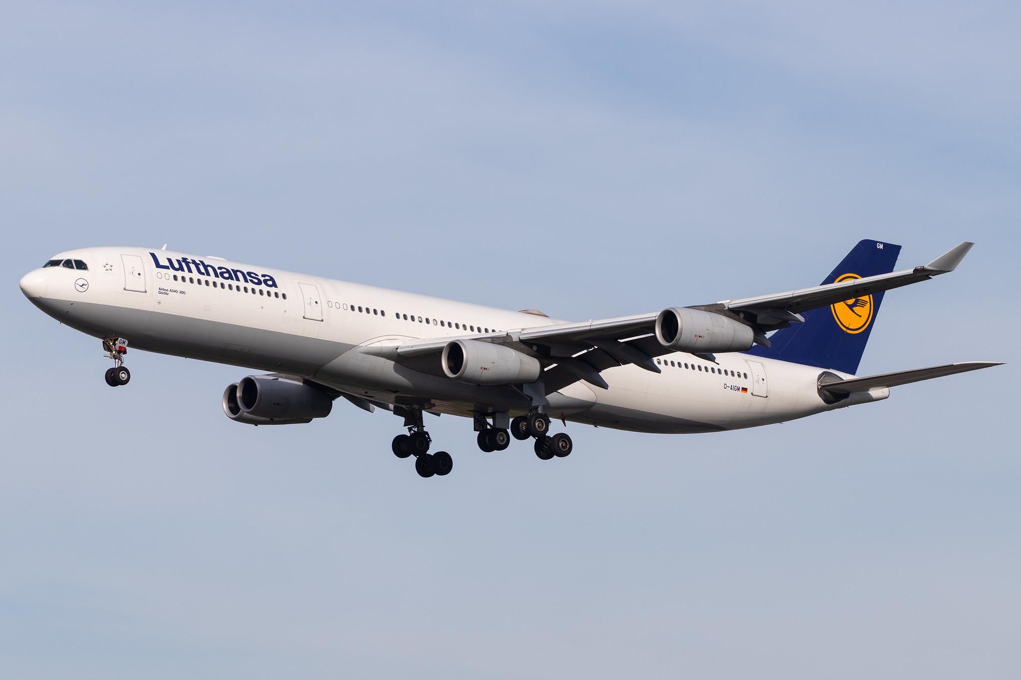 Frankfurt Airport: Lufthansa (LH / DLH) |  Airbus A340-313 A343 | D-AIGM | MSN 0158