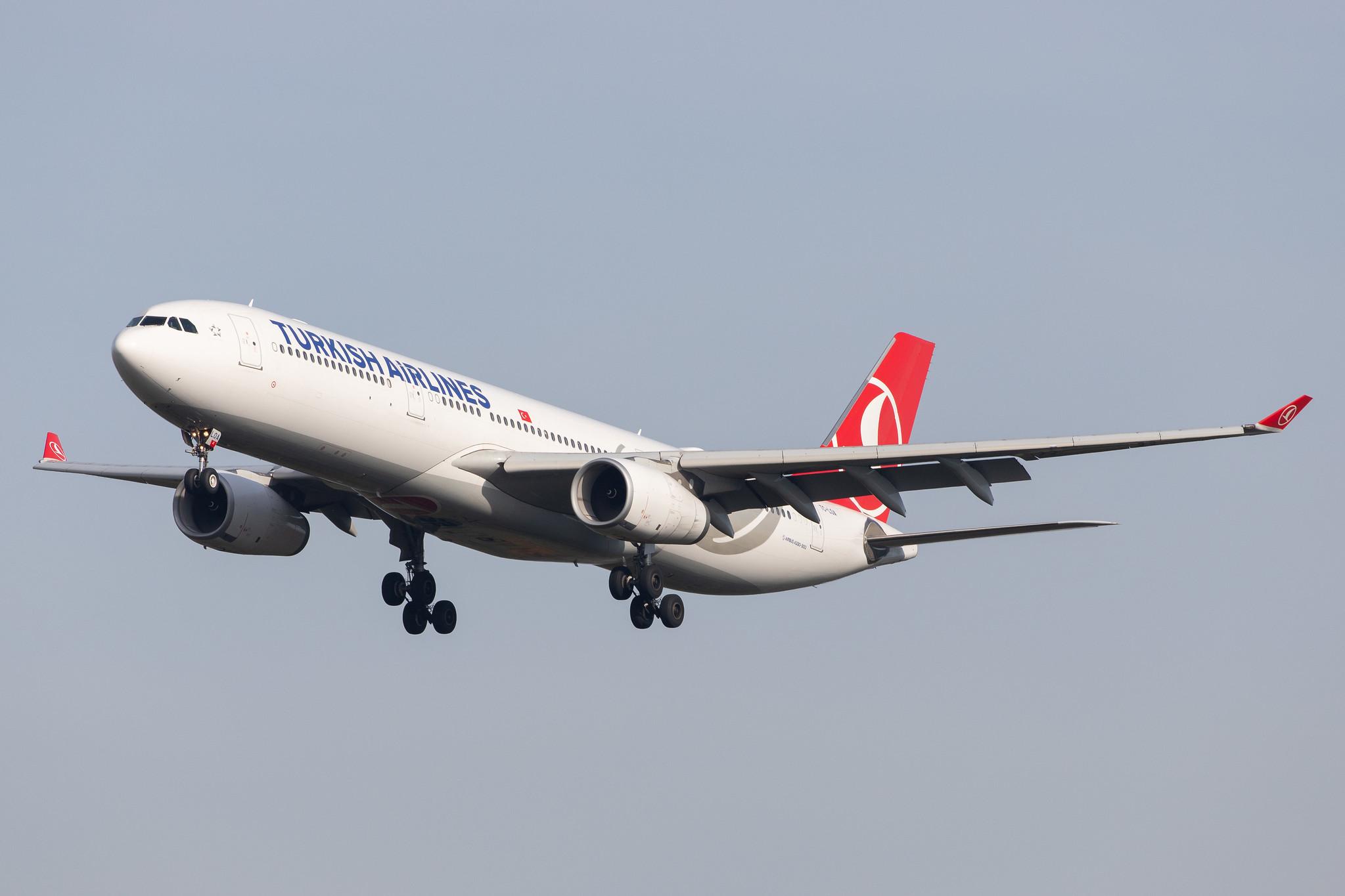 Frankfurt Airport: Turkish Airlines (TK / THY) |  Airbus A330-343 A333 | TC-LOA | MSN 1483