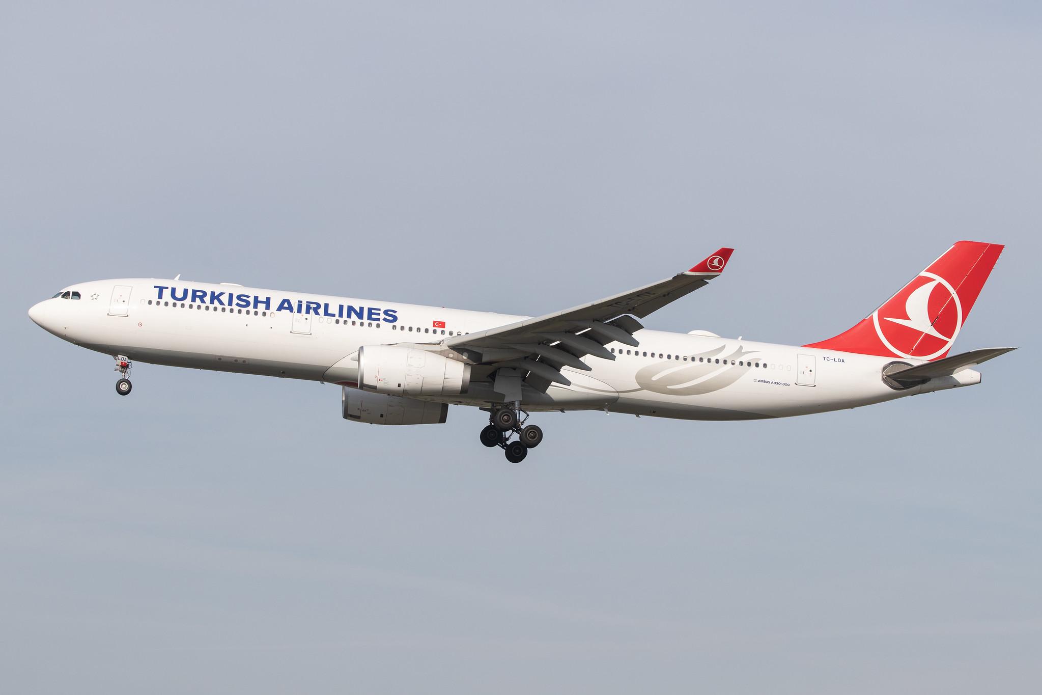 Frankfurt Airport: Turkish Airlines (TK / THY) |  Airbus A330-343 A333 | TC-LOA | MSN 1483
