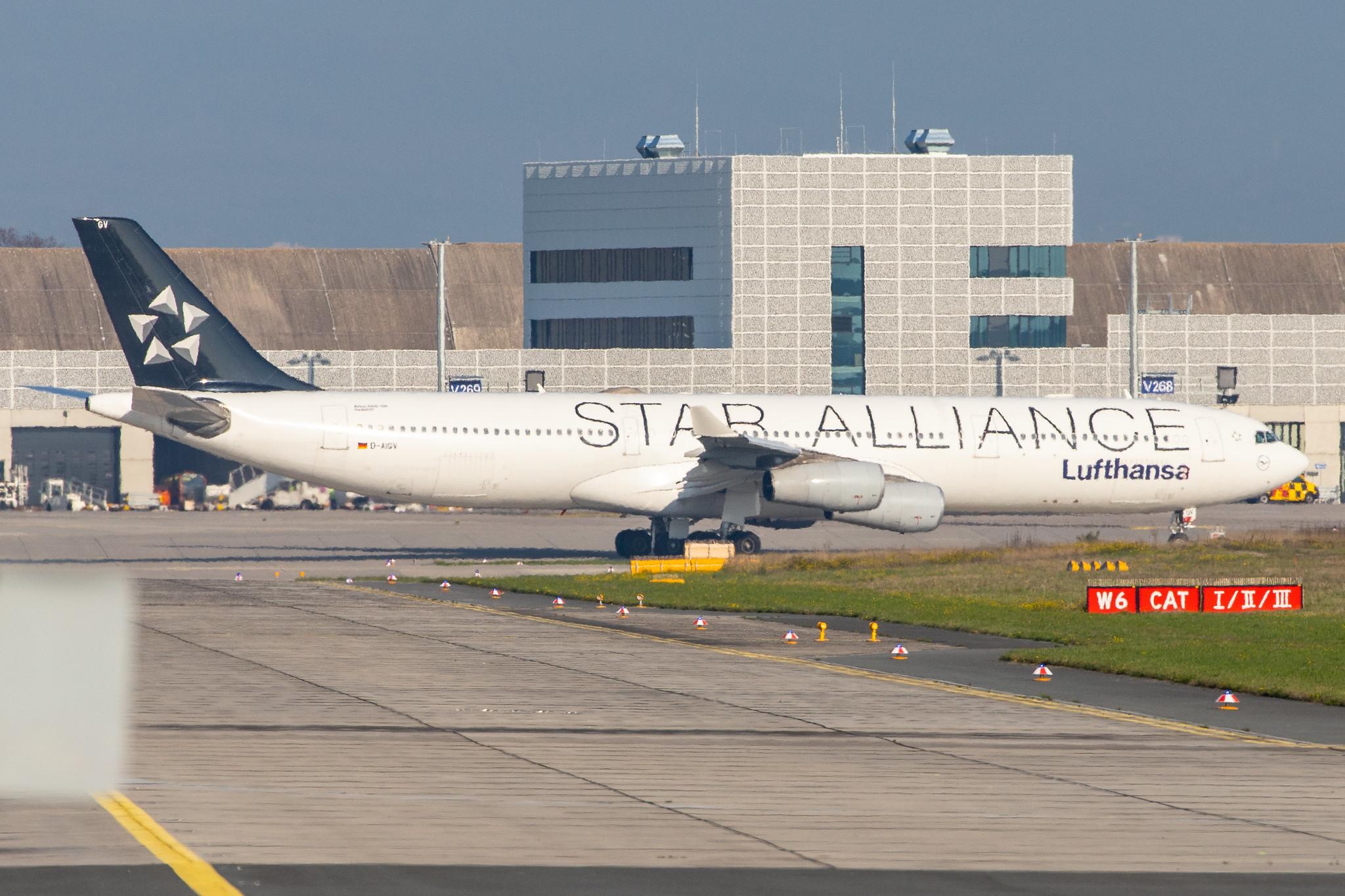 Frankfurt Airport: Lufthansa (LH / DLH) |  Livery: Star Alliance Livery |  Airbus A340-313 A343 | D-AIGV | MSN 0325