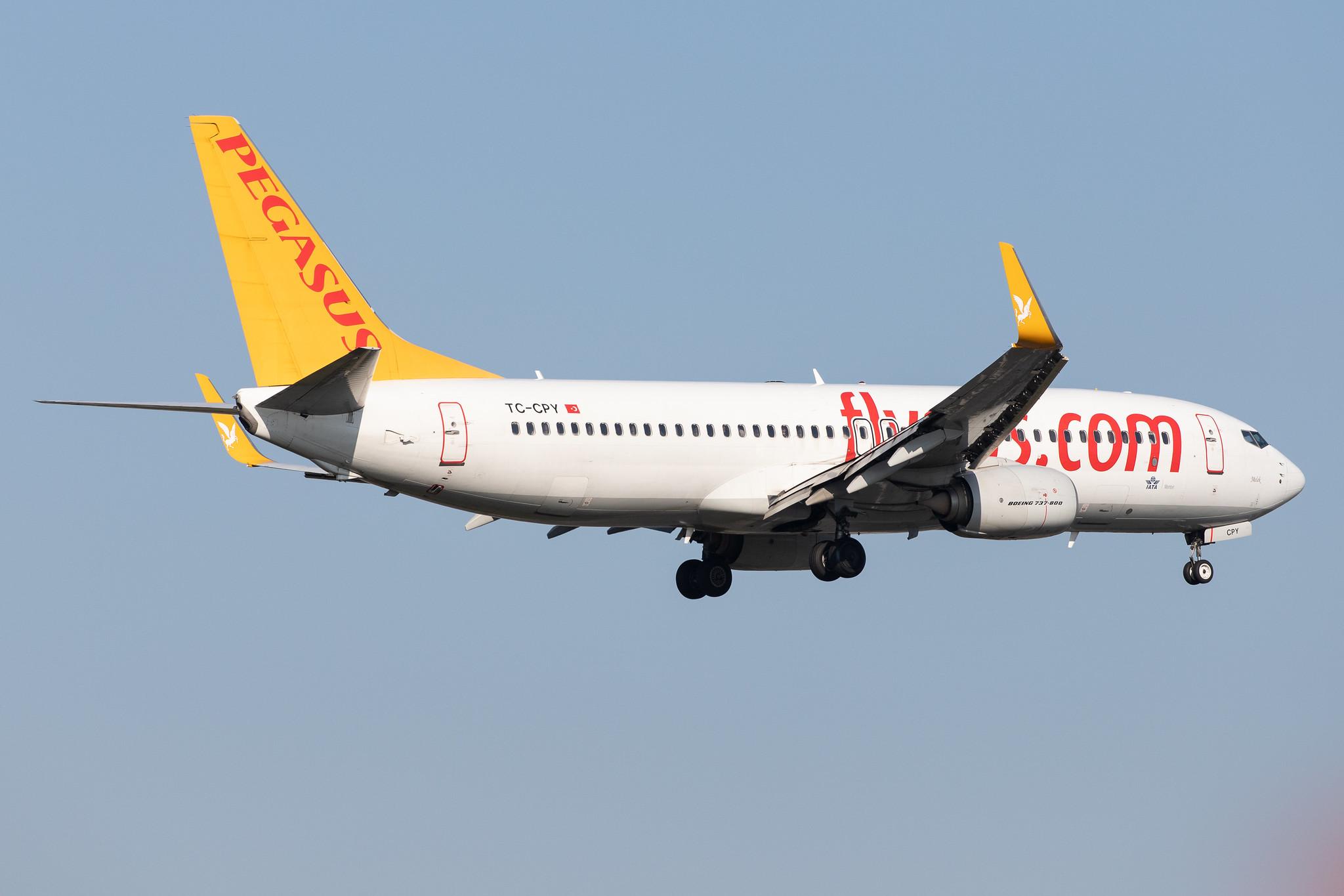 Frankfurt Airport: Pegasus Airlines (PC / PGT) |  Boeing 737-8H6 B738 | TC-CPY | MSN 41767