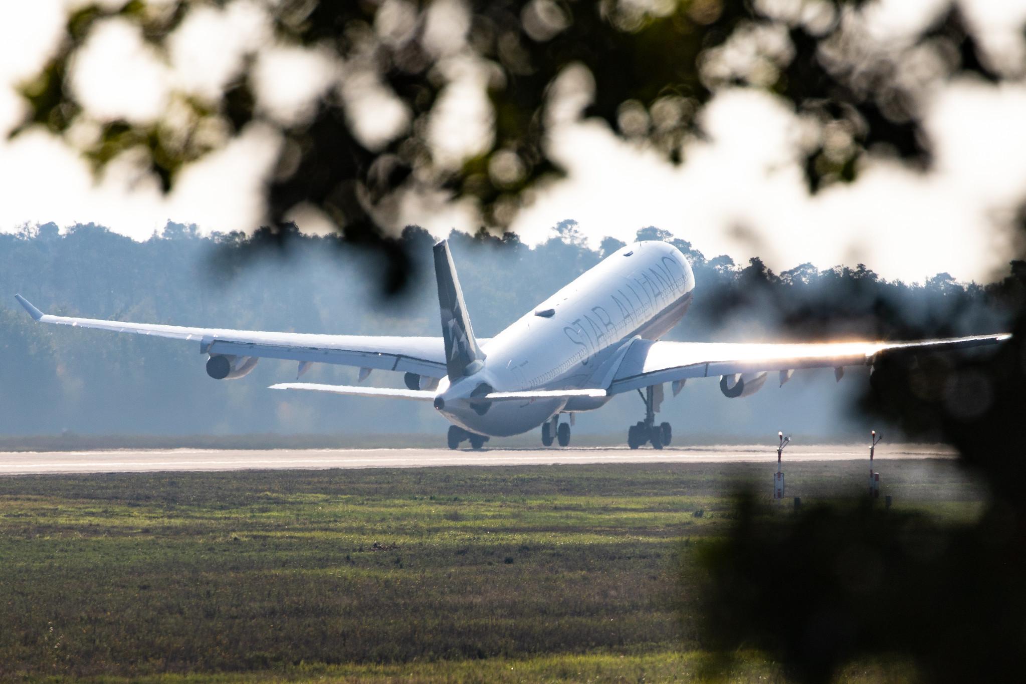 Frankfurt Airport: Lufthansa (LH / DLH) |  Livery: Star Alliance Livery | Operator: Lufthansa CityLine |  Airbus A340-313 A343 | D-AIGP | MSN 0252