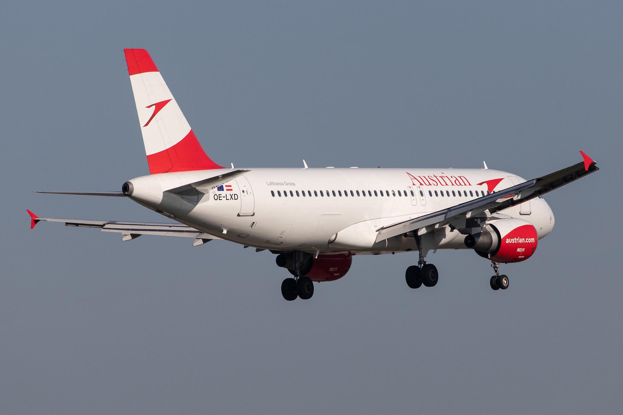 Frankfurt Airport: Austrian Airlines (OS / AUA) |  Airbus A320-216 A320 | OE-LXD | MSN 3515
