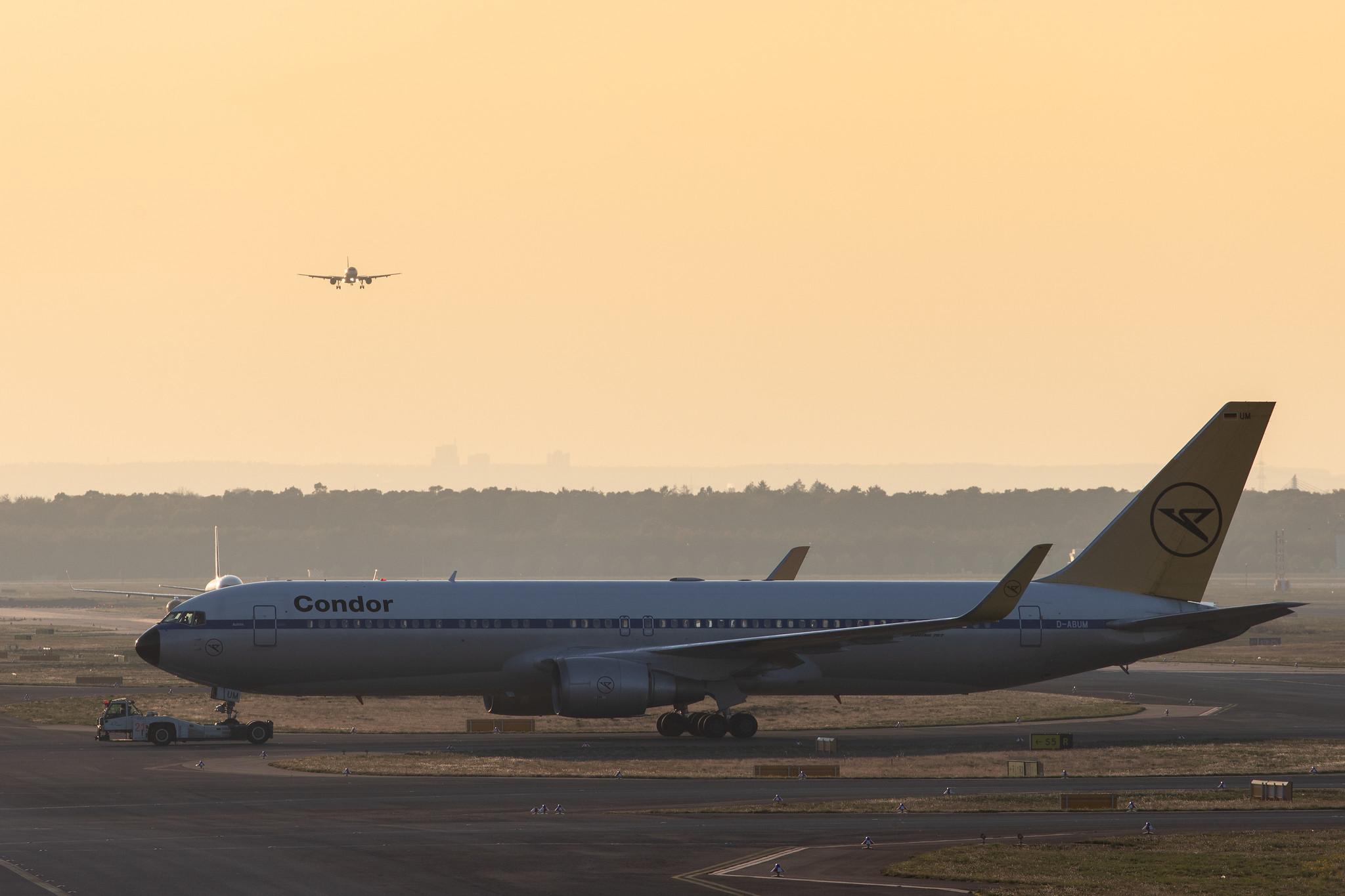 Frankfurt Airport: Condor (DE / CFG) |  Livery: Retro Livery |  Boeing 767-31B(ER) B763 | D-ABUM | MSN 25170