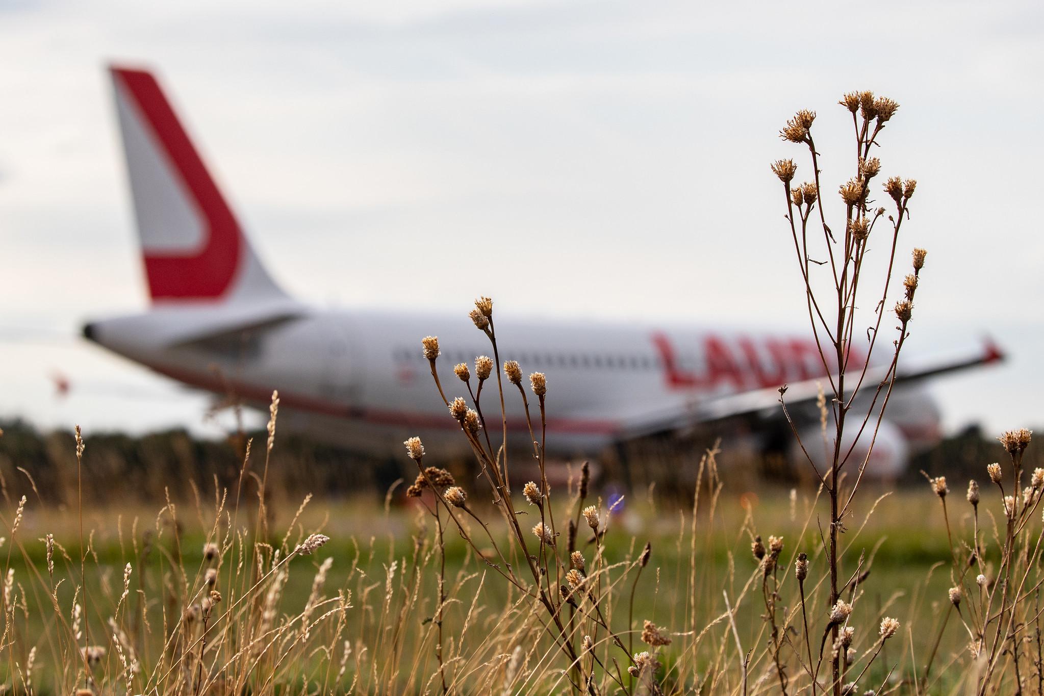 Düsseldorf Airport: Laudamotion (OE / LDM) |  Airbus A320-232 A320 | OE-IHL | MSN 3105