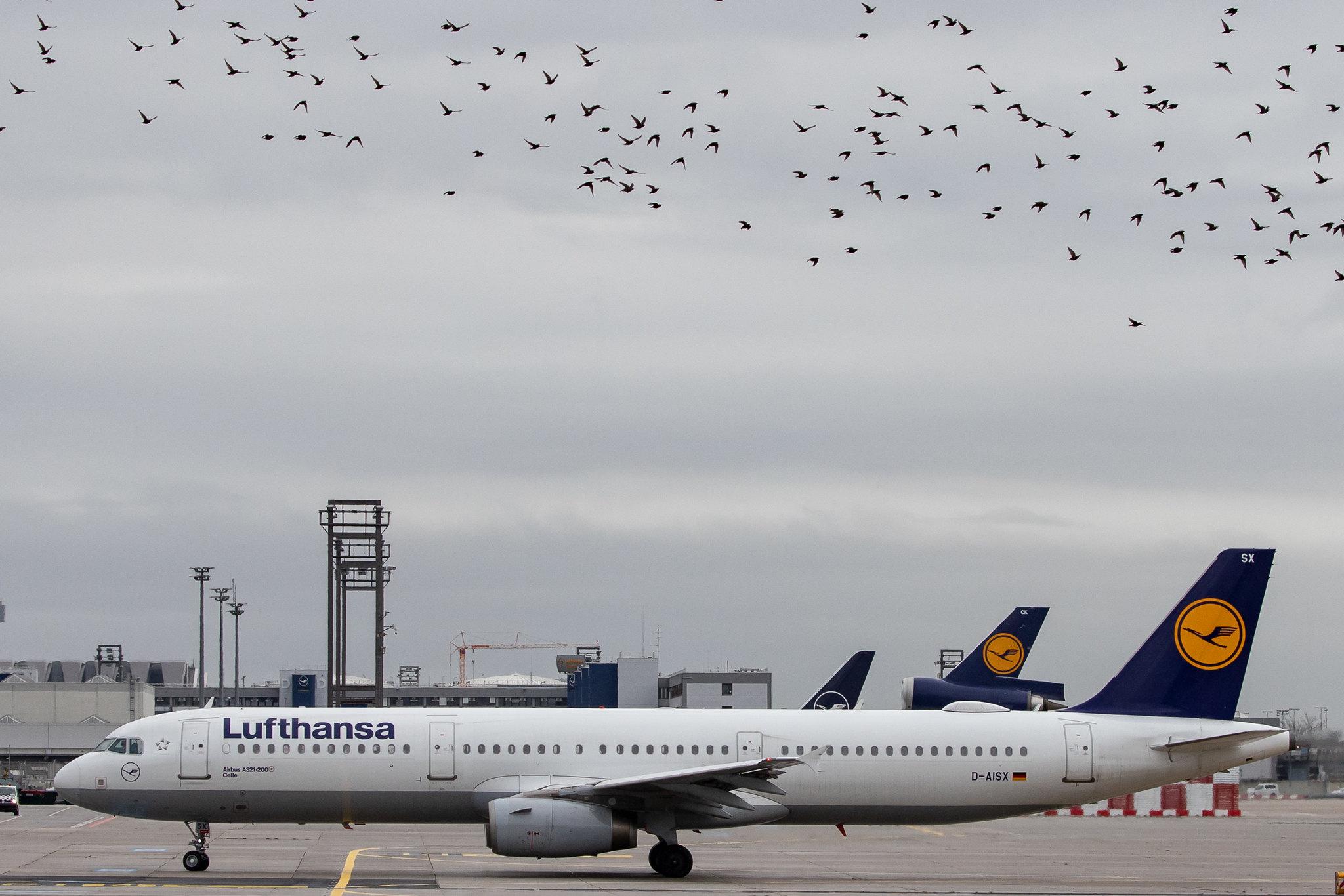 Frankfurt Airport: Lufthansa (LH / DLH) |  Airbus A321-231 A321 | D-AISX | MSN 4073
