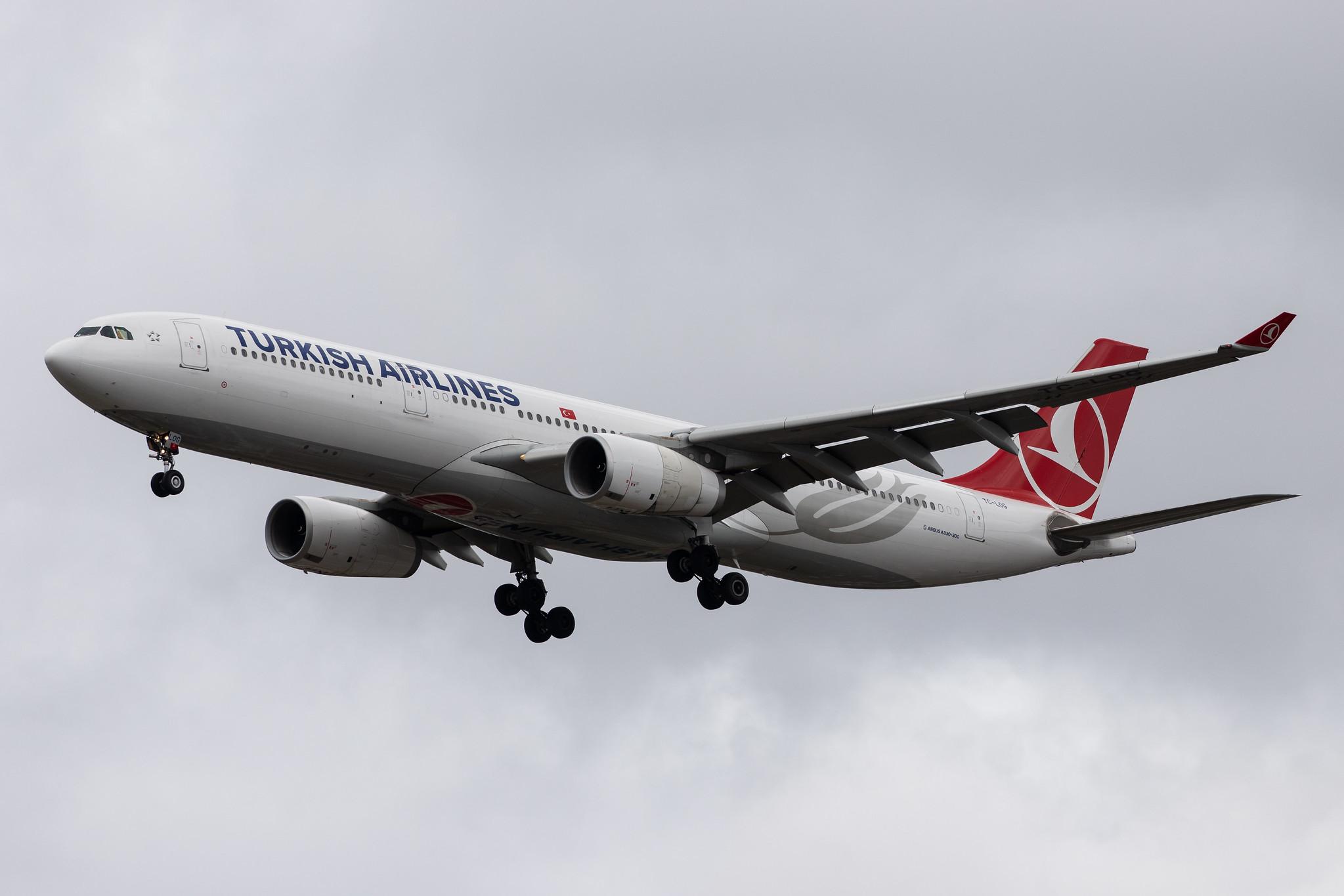 London Heathrow Airport: Turkish Airlines (TK / THY) |  Airbus A330-343 A333 | TC-LOG | MSN 1651