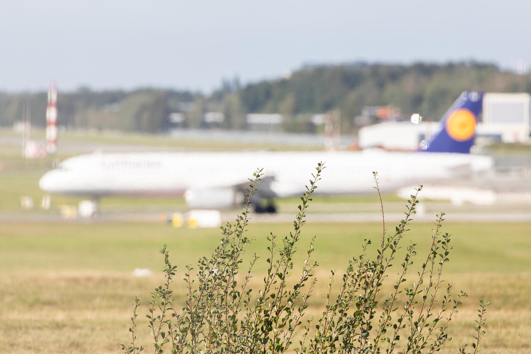 Hamburg Airport: Lufthansa (LH / DLH) |  Airbus A321-131 A321 | D-AIRN | MSN 0560