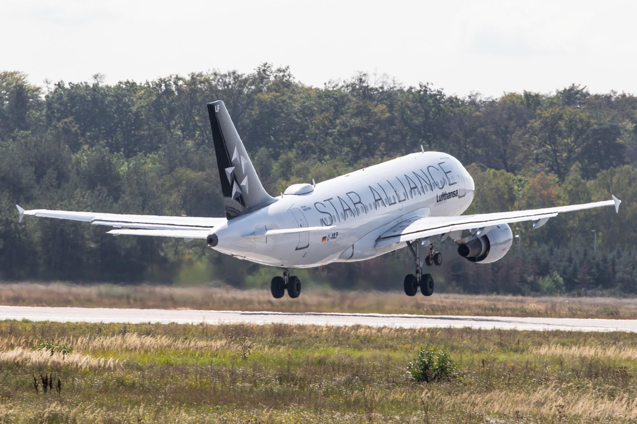 Frankfurt Airport: Lufthansa (LH / DLH) |  Livery: Star Alliance Livery |  Airbus A319-114 A319 | D-AILF | MSN 0636