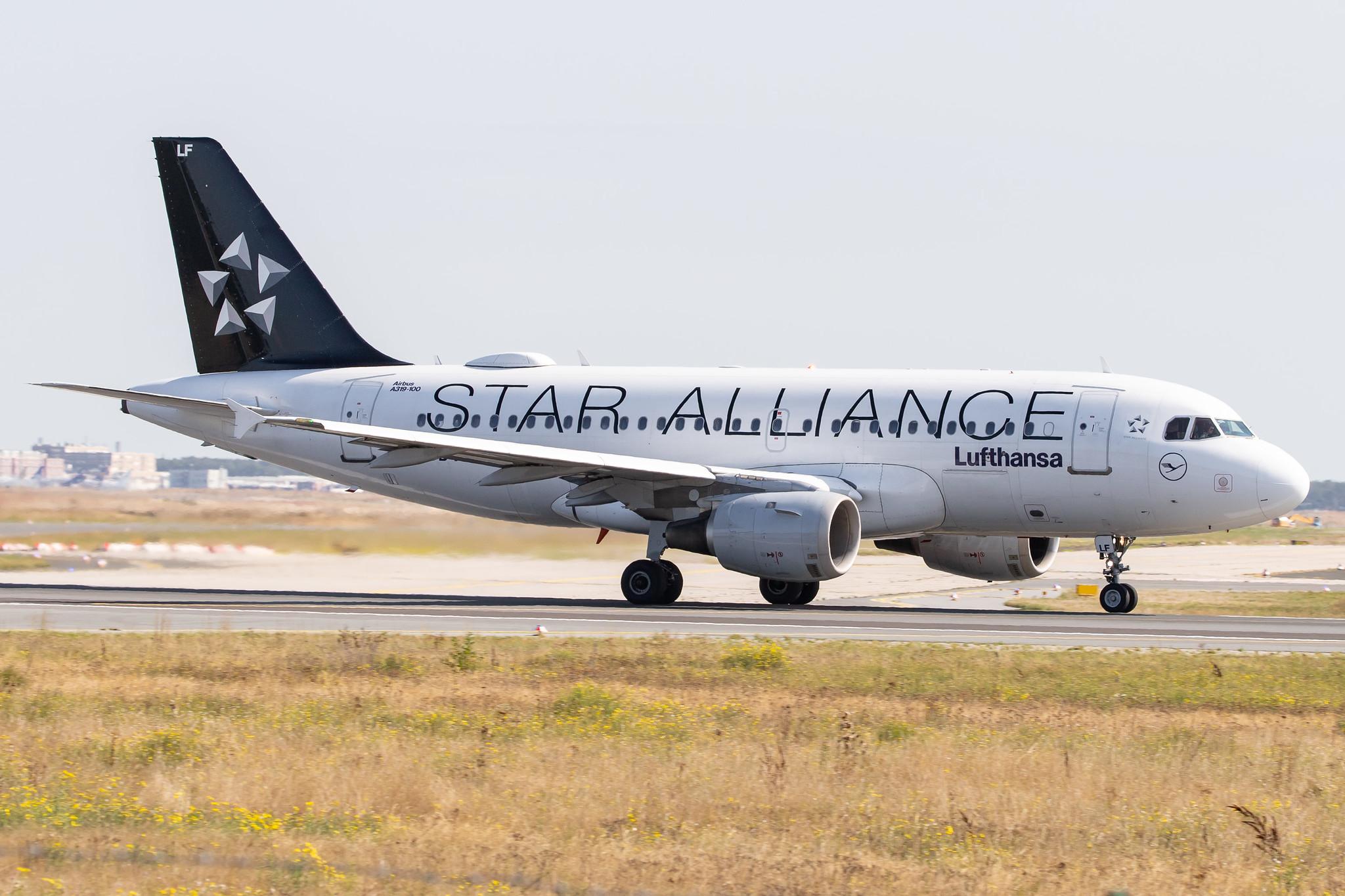 Frankfurt Airport: Lufthansa (LH / DLH) |  Livery: Star Alliance Livery |  Airbus A319-114 A319 | D-AILF | MSN 0636