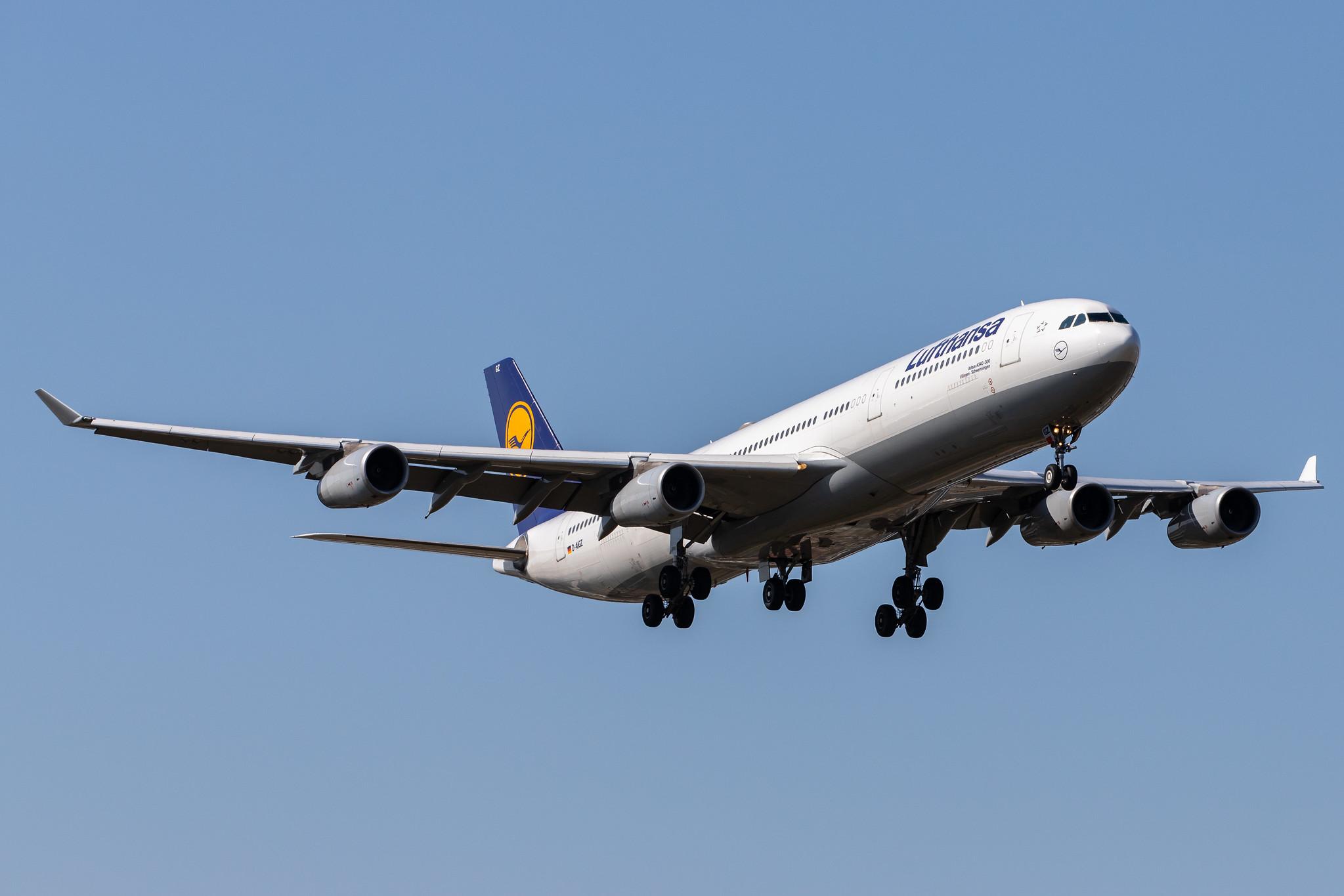 Frankfurt Airport: Lufthansa (LH / DLH) |  Airbus A340-313 A343 | D-AIGZ | MSN 0347