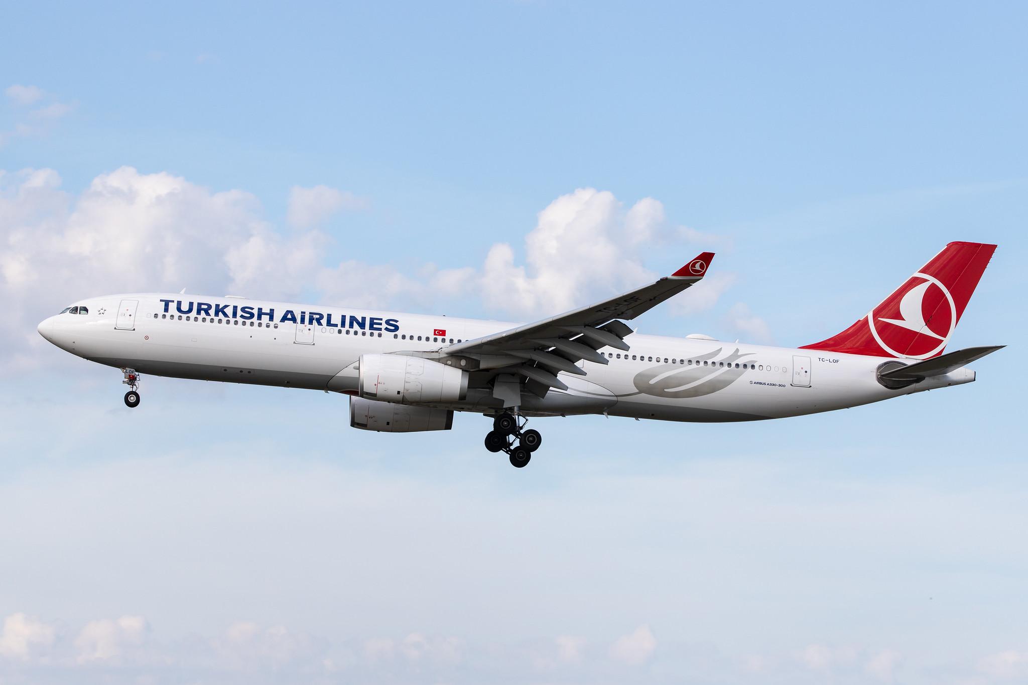 Frankfurt Airport: Turkish Airlines (TK / THY) |  Airbus A330-343 A333 | TC-LOF | MSN 1635