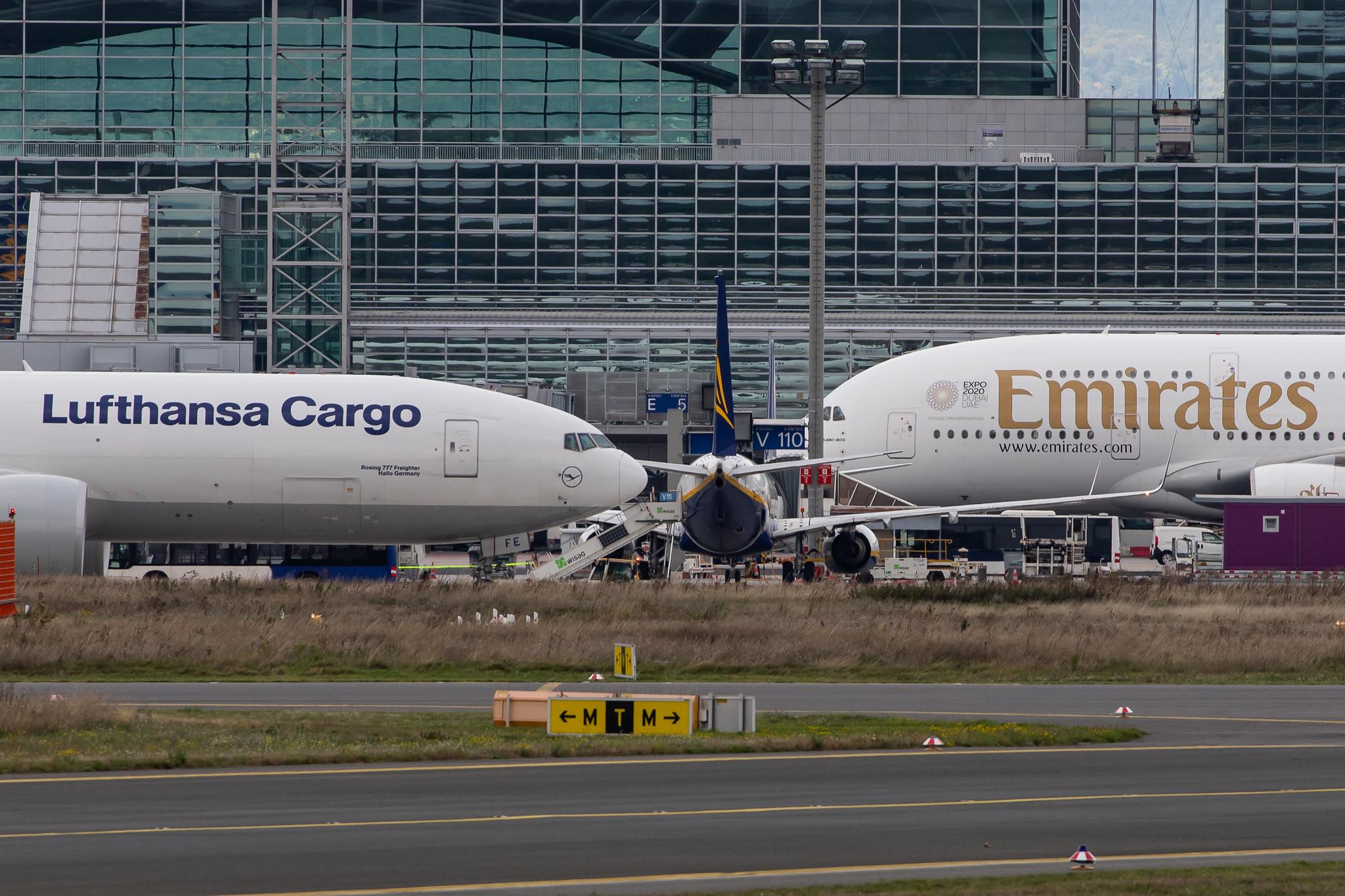 Frankfurt Airport: Lufthansa Cargo (/ GEC) |  Boeing 777-FBT B77L | D-ALFE | MSN 41678