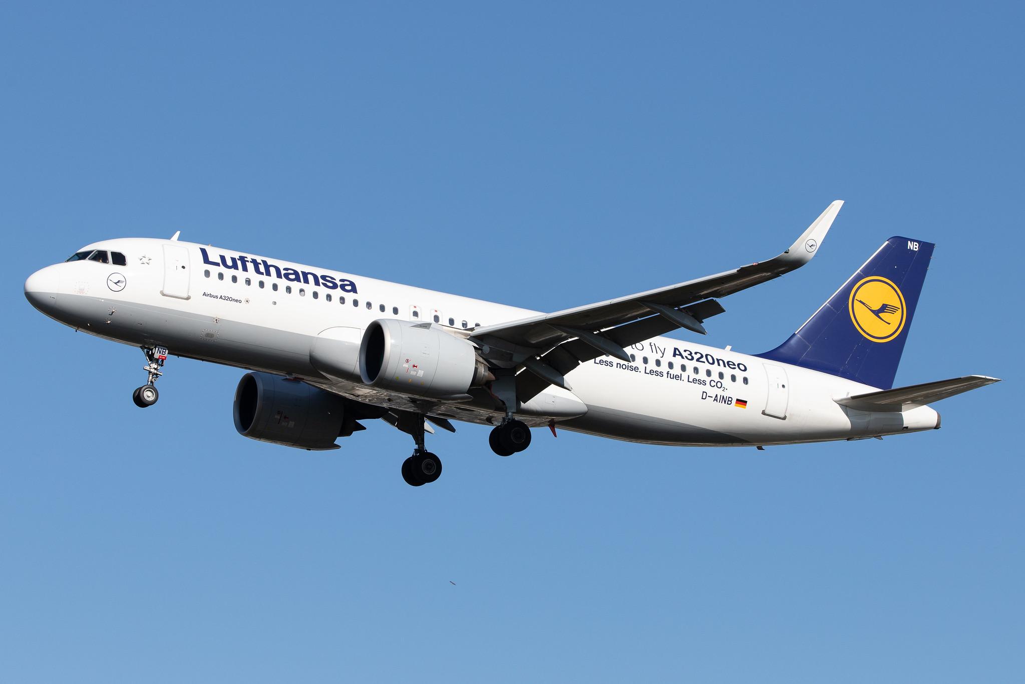 Frankfurt Airport: Lufthansa (LH / DLH) | Livery: First to fly A320neo Sticker | Airbus A320-271N A20N | D-AINB | MSN 6864