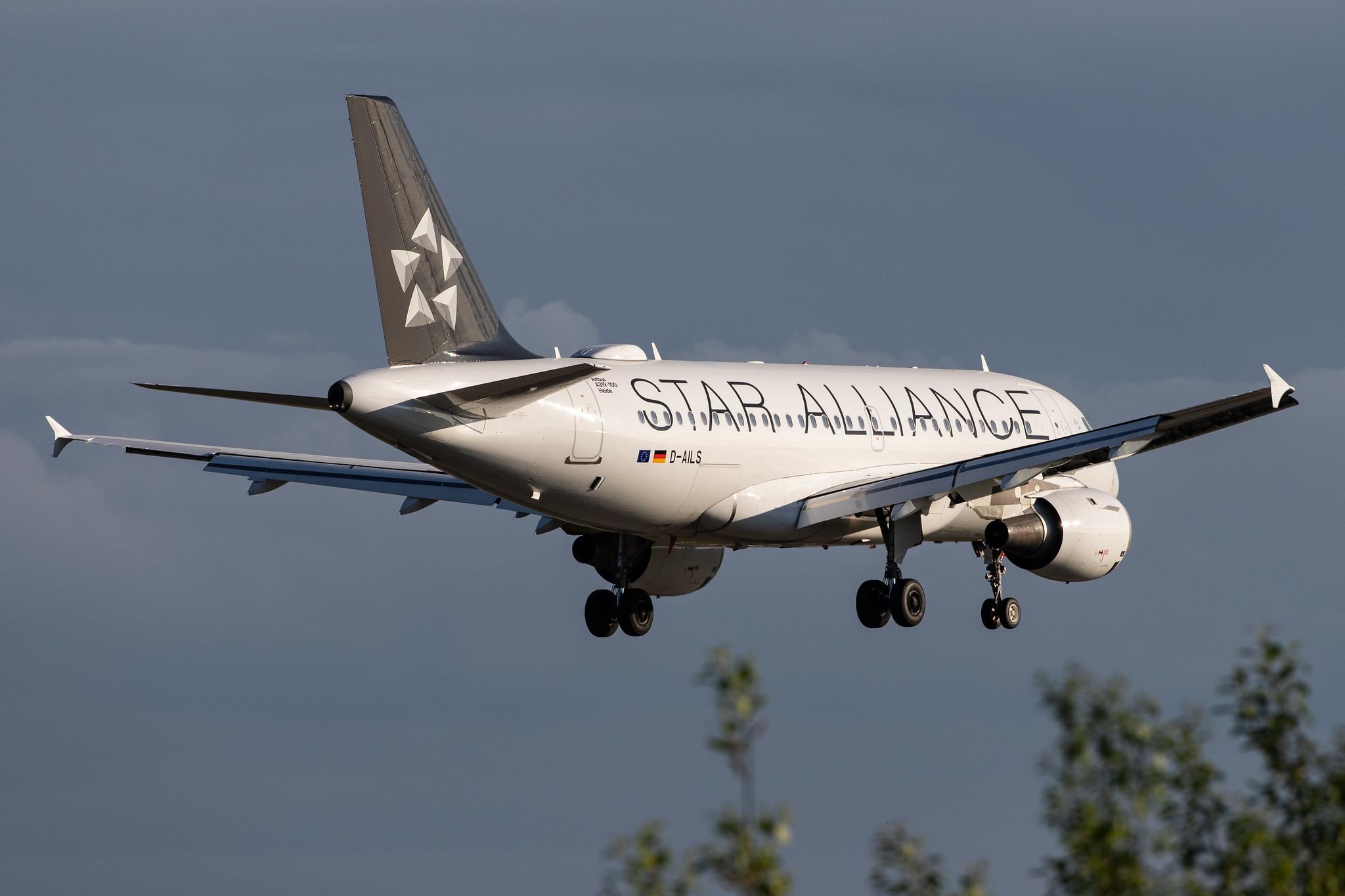 Hamburg Airport: Lufthansa (LH / DLH) |  Livery: Star Alliance Livery | Operator: Lufthansa CityLine |  Airbus A319-114 A319 | D-AILS | MSN 0729