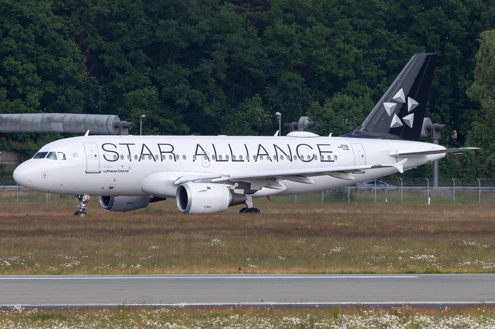 Hamburg Airport: Lufthansa (LH / DLH) |  Livery: Star Alliance Livery | Operator: Lufthansa CityLine |  Airbus A319-114 A319 | D-AILS | MSN 0729