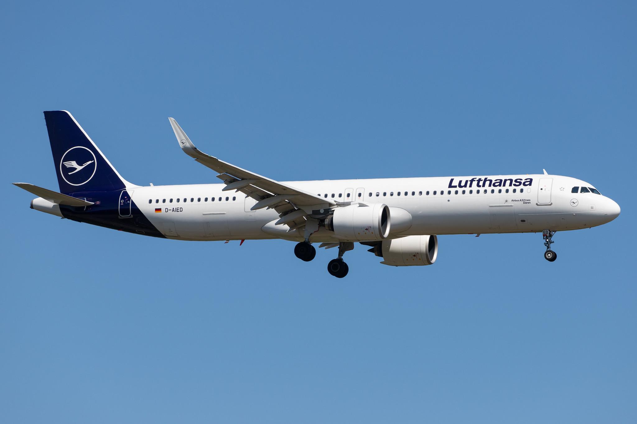 Frankfurt Airport: Lufthansa (LH / DLH) |  Airbus A321-271NX A21N | D-AIED | MSN 8958