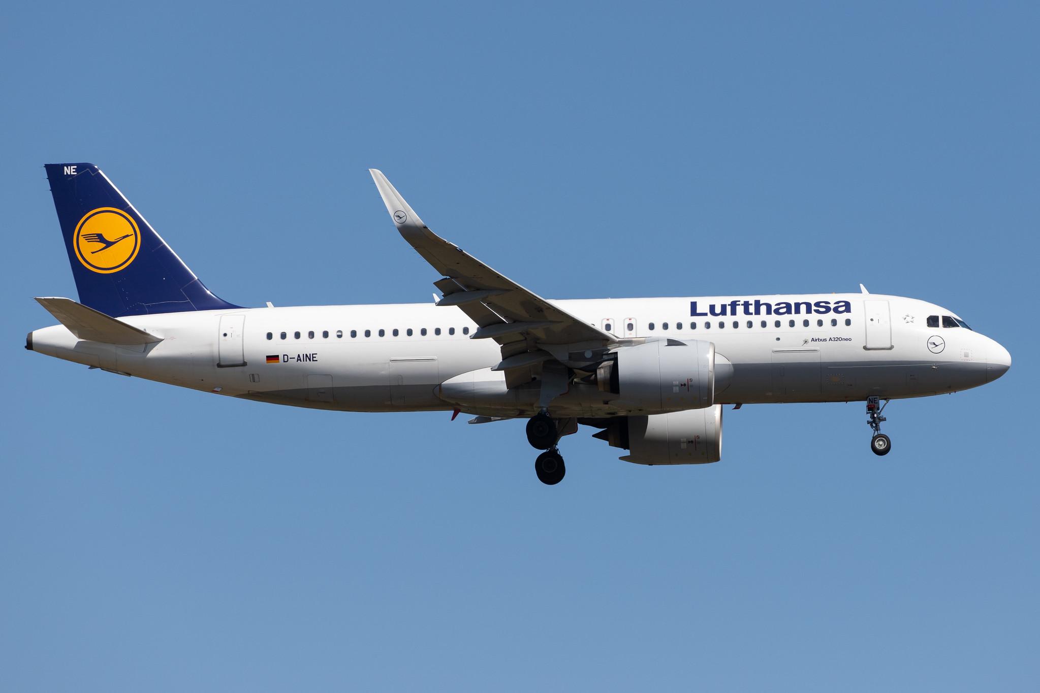 Frankfurt Airport: Lufthansa (LH / DLH) |  Airbus A320-271N A20N | D-AINE | MSN 7103