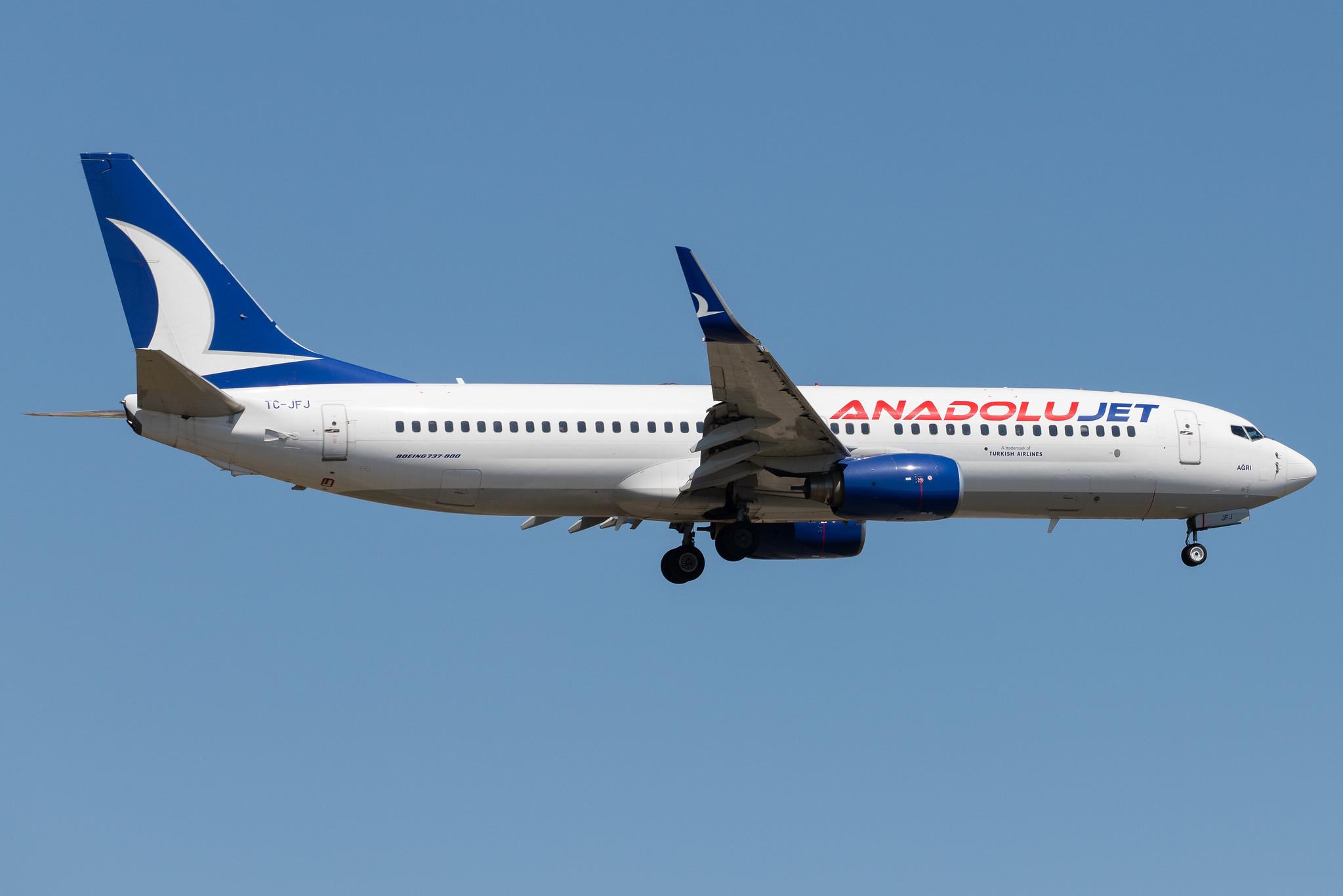 Frankfurt Airport: AnadoluJet (TK / THY) | Operator: Turkish Airlines |  Boeing 737-8F2 B738 | TC-JFJ | MSN 29772