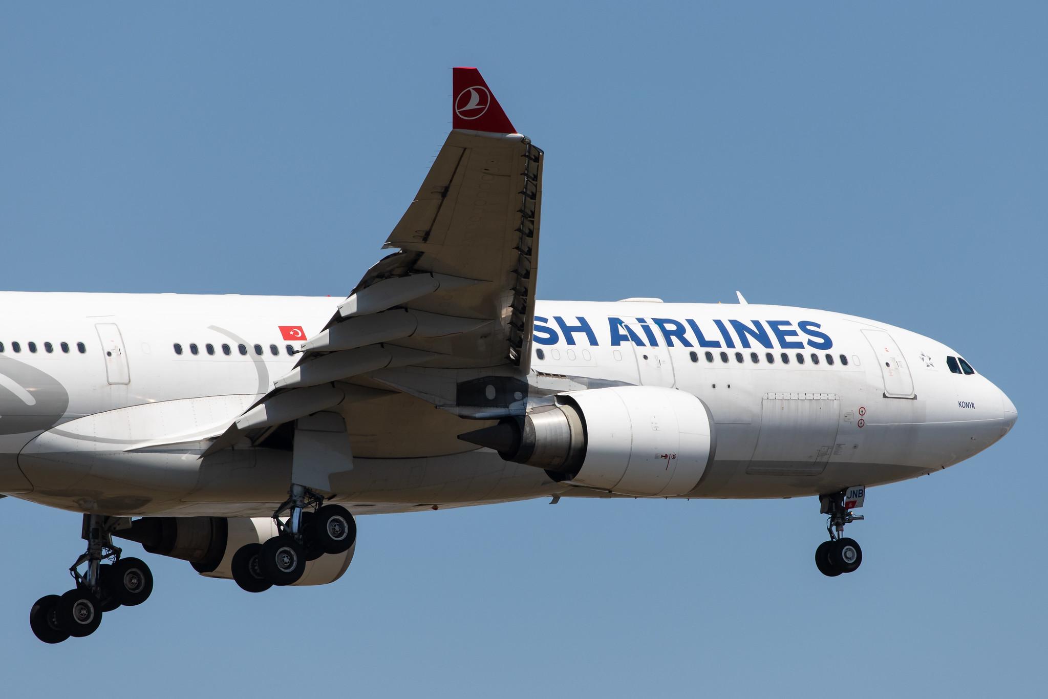 Frankfurt Airport: Turkish Airlines (TK / THY) |  Airbus A330-203 A332 | TC-JNB | MSN 0704