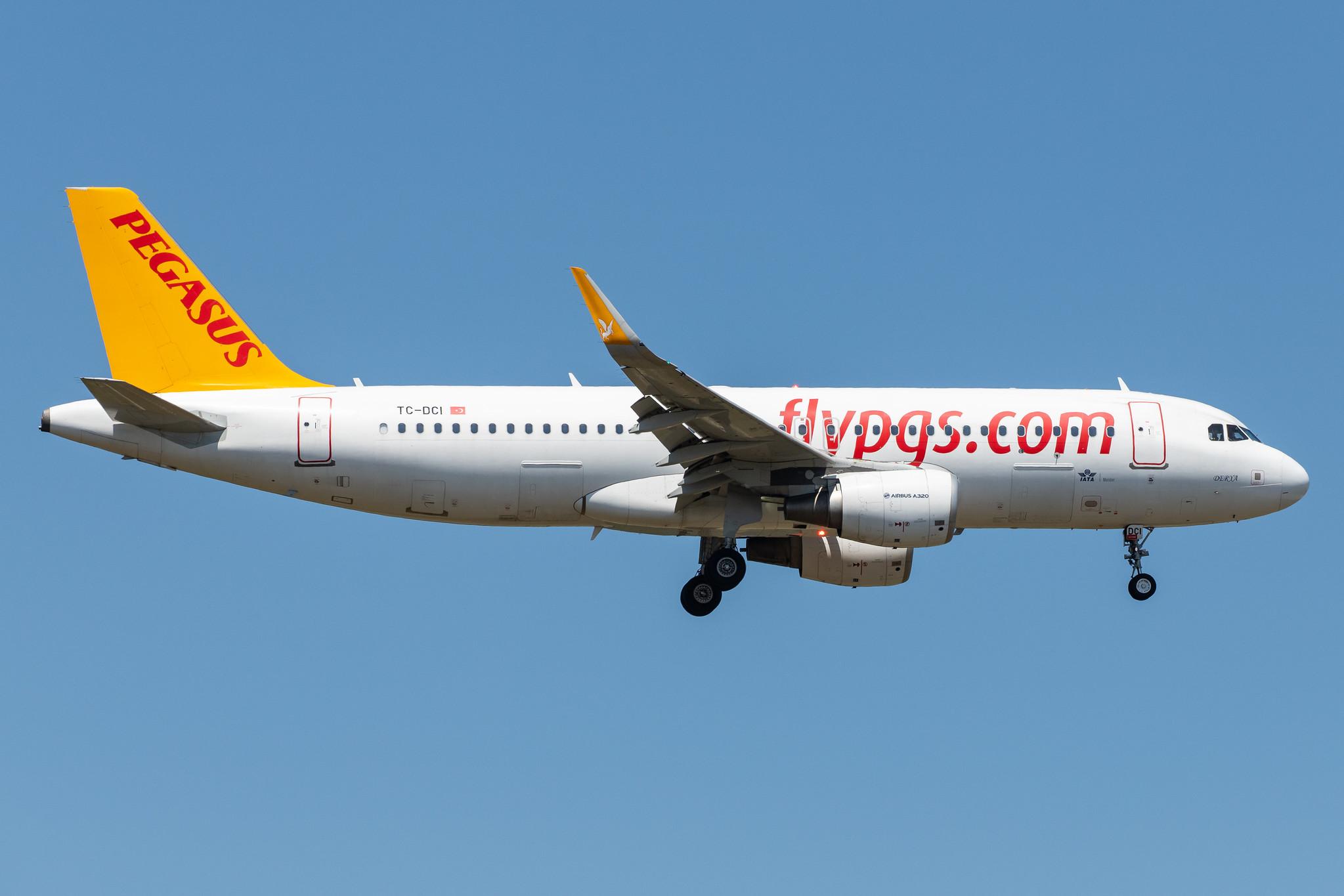 Frankfurt Airport: Pegasus Airlines (PC / PGT) |  Airbus A320-216 A320 | TC-DCI | MSN 6666