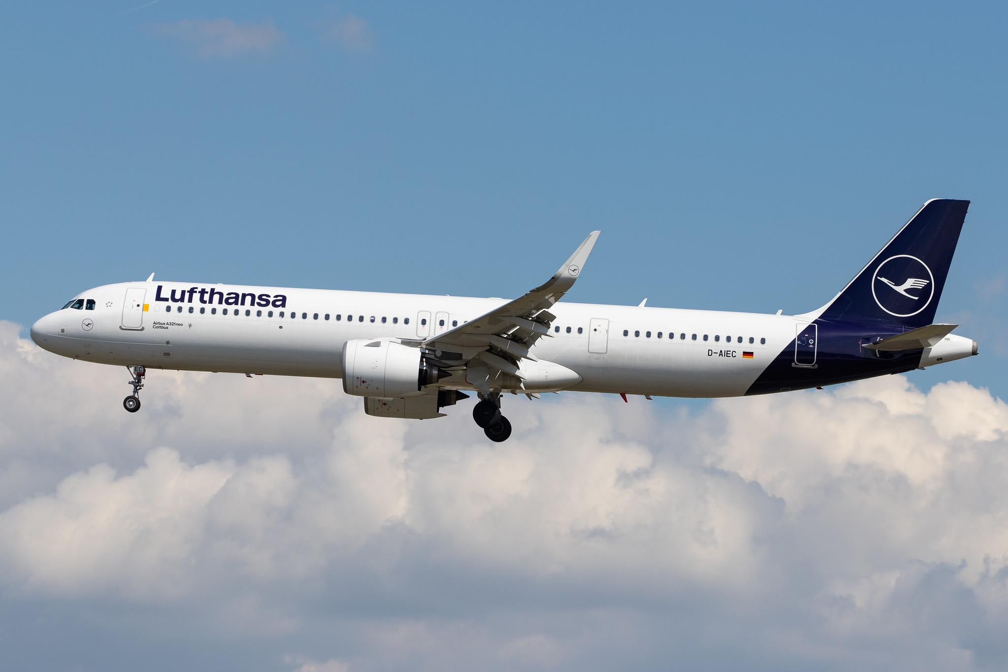 Frankfurt Airport: Lufthansa (LH / DLH) |  Airbus A321-271NX A21N | D-AIEC | MSN 8814