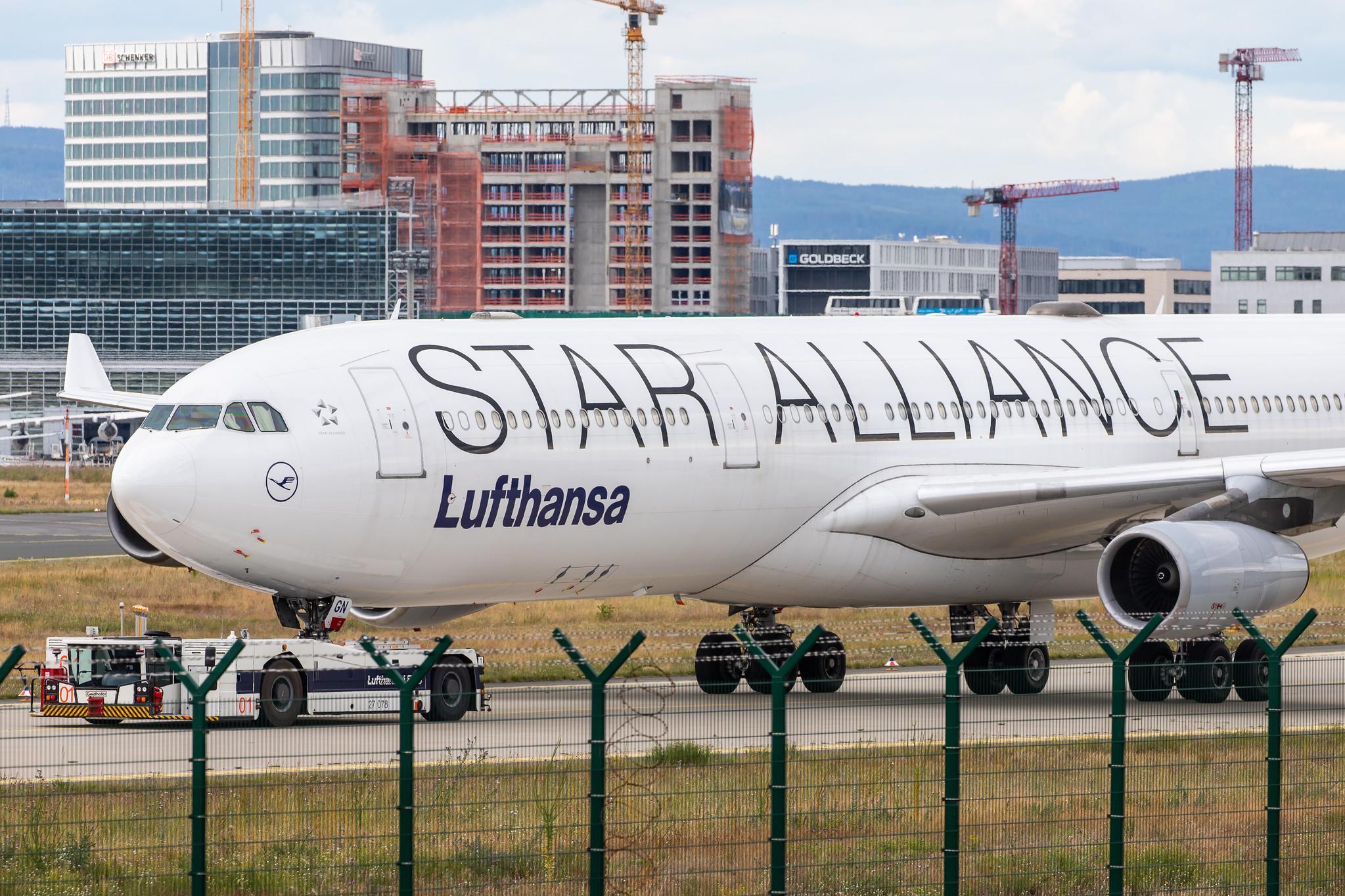 Frankfurt Airport: Lufthansa (LH / DLH) |  Livery: Star Alliance Livery |  Airbus A340-313 A343 | D-AIGN | MSN 0213