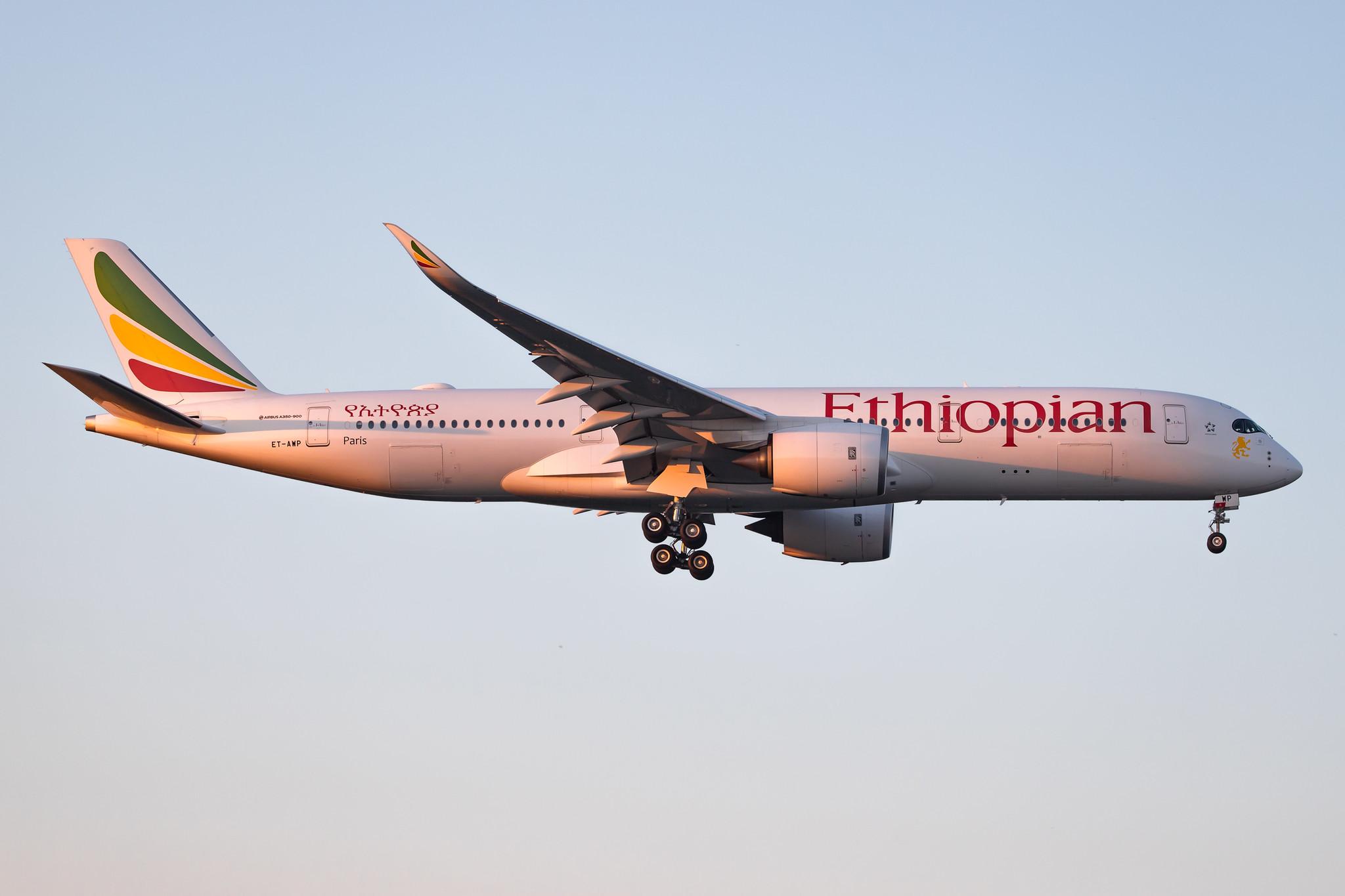 Frankfurt Airport: Ethiopian Airlines (ET / ETH) |  Airbus A350-941 A359 | ET-AWP | MSN 375