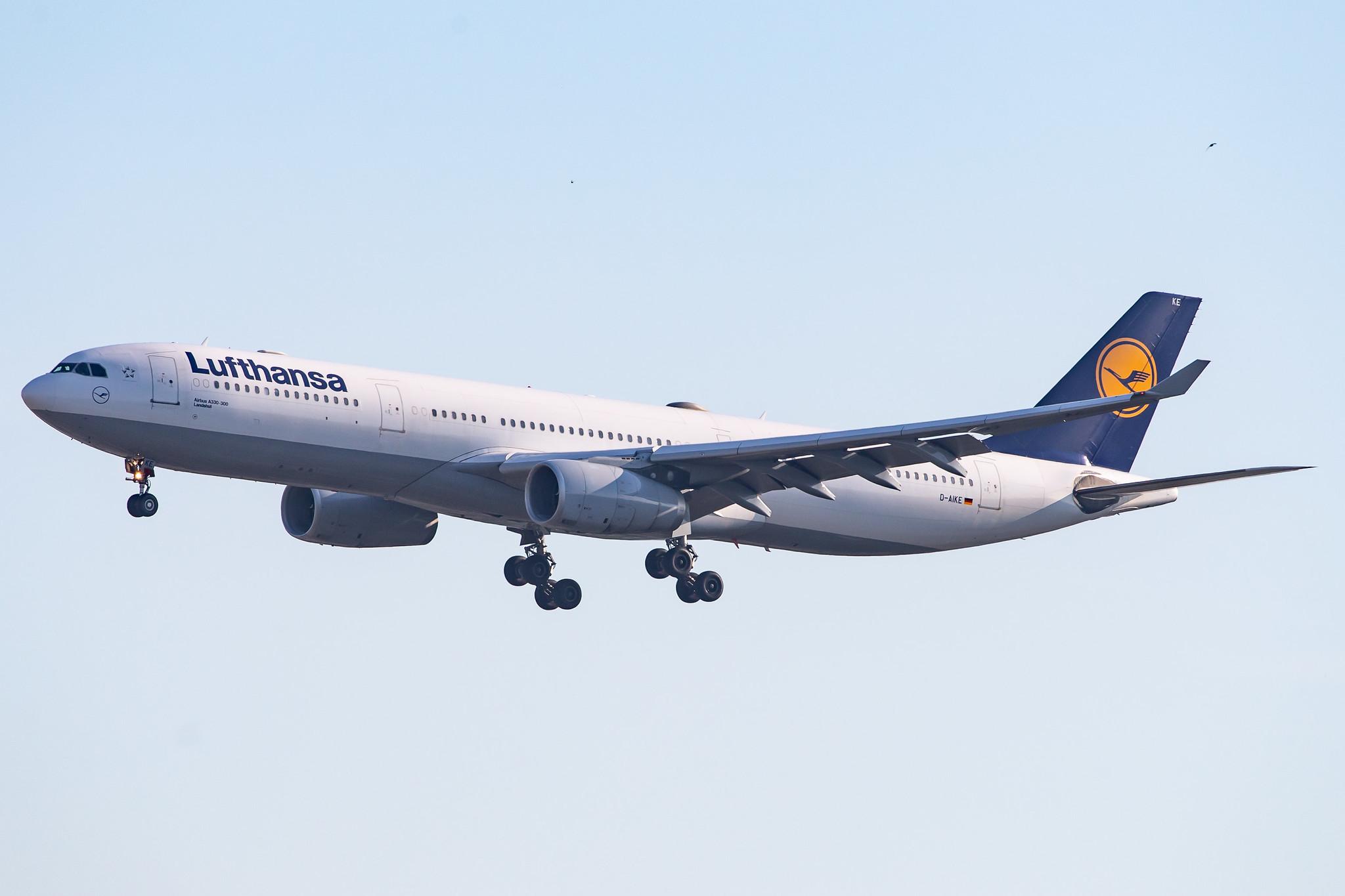 Frankfurt Airport: Lufthansa (LH / DLH) |  Airbus A330-343 A333 | D-AIKE | MSN 0636