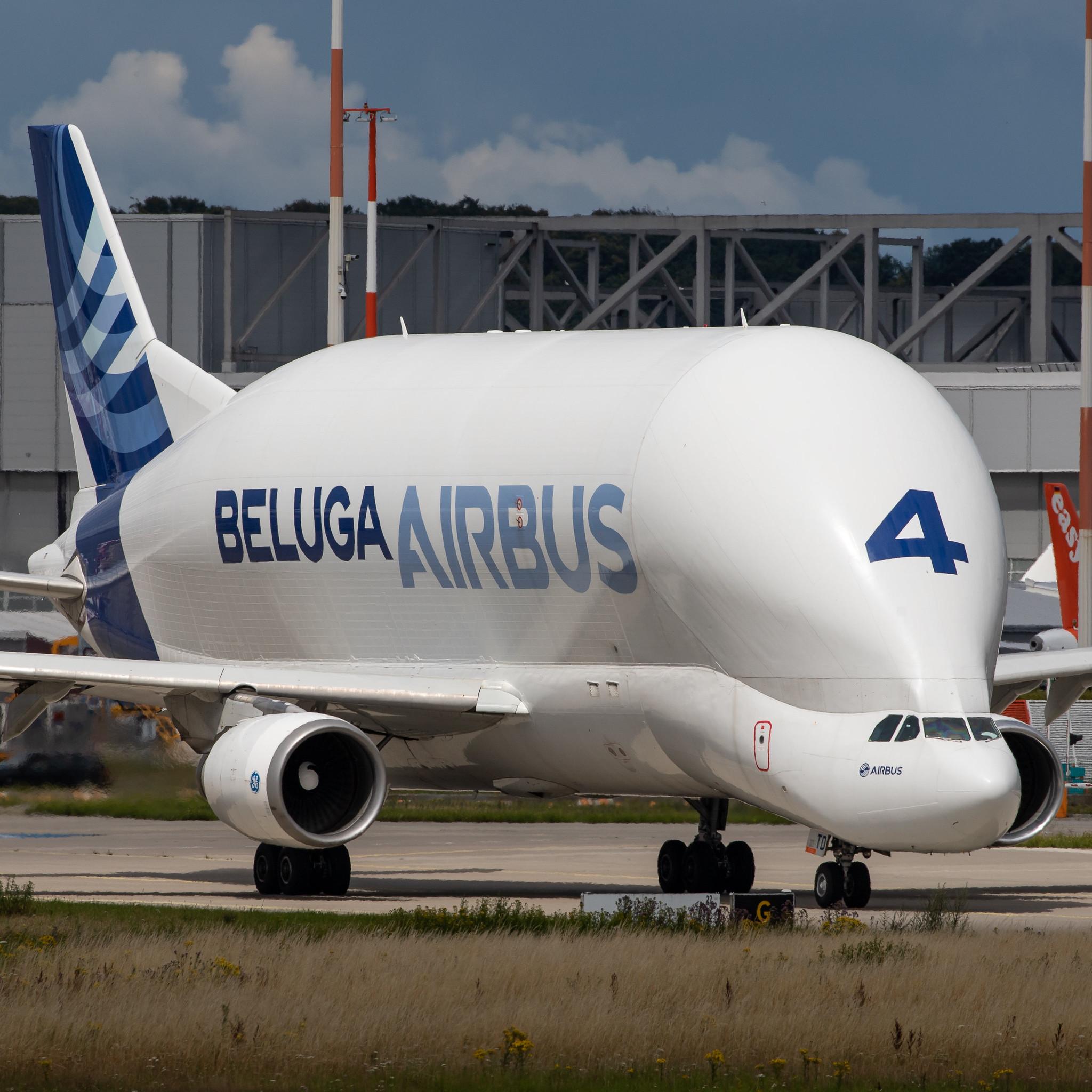 Hamburg Finkenwerder: Airbus Transport International (4Y / BGA) |  Airbus A300-608ST Beluga A3ST | F-GSTD | MSN 776