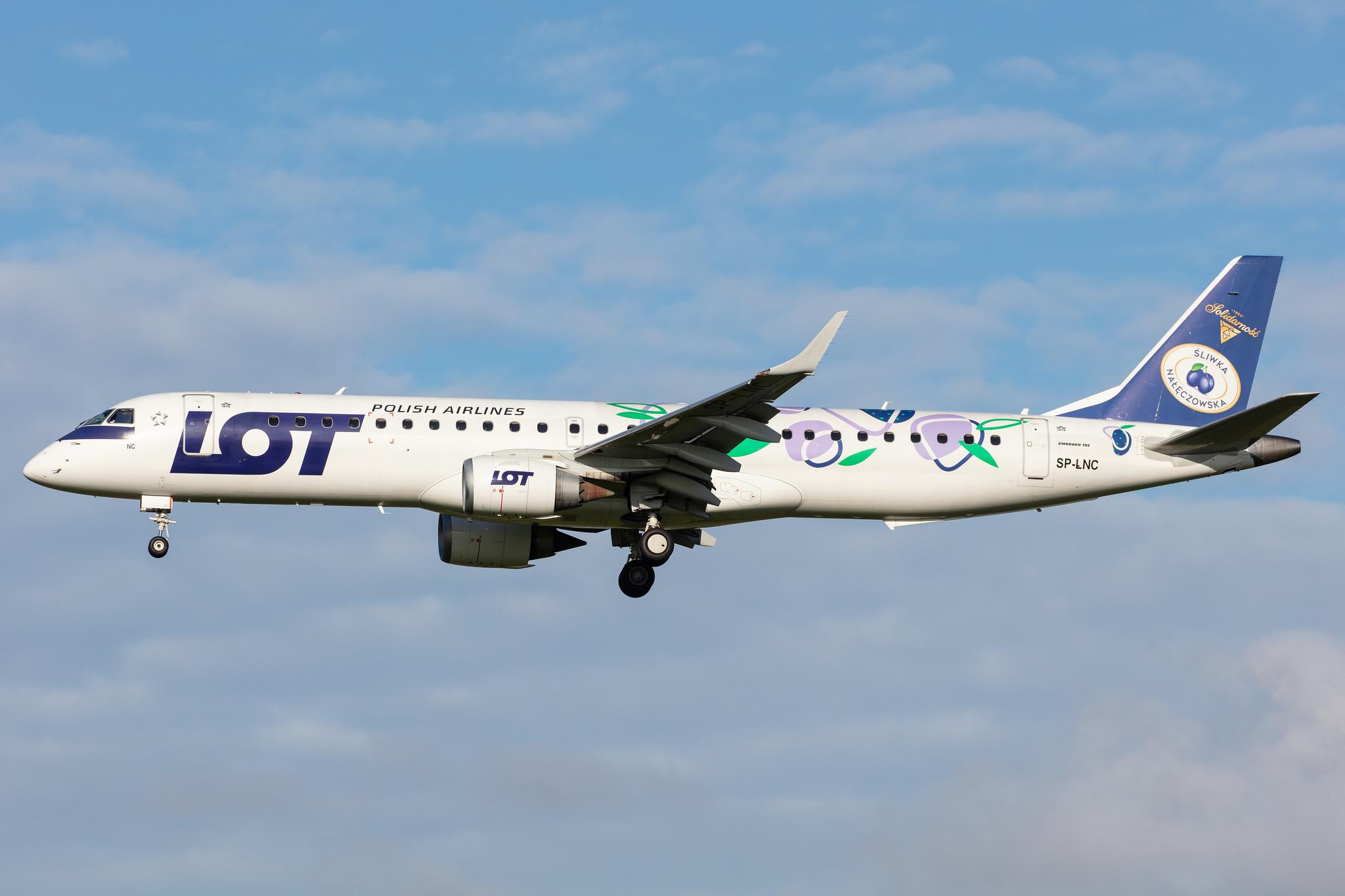 Amsterdam Airport Schiphol: LOT (LO / LOT) |  Livery: Sliwka Naleczowska Livery |  Embraer E195LR E195 | SP-LNC | MSN 19000462