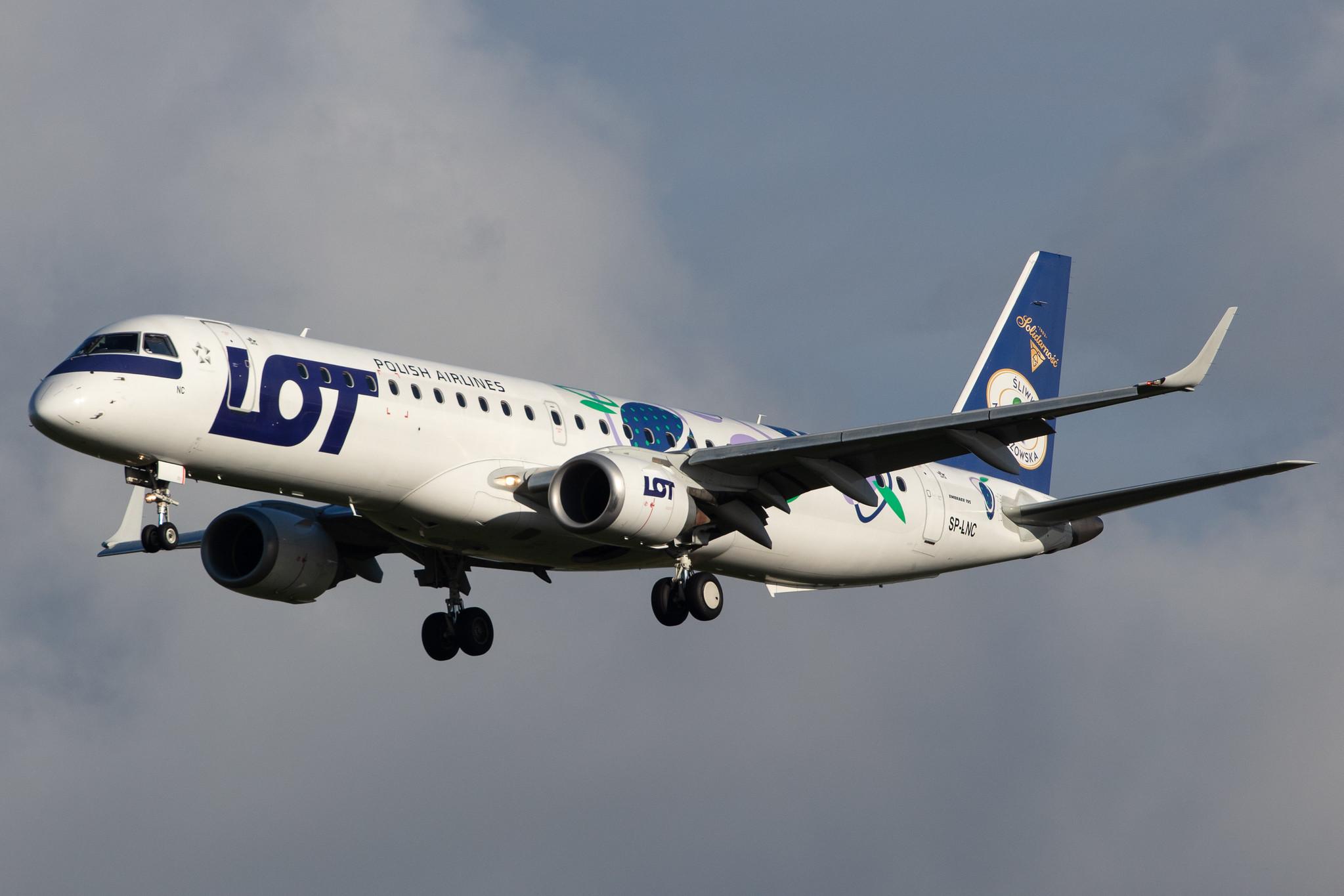 Amsterdam Airport Schiphol: LOT (LO / LOT) |  Livery: Sliwka Naleczowska Livery |  Embraer E195LR E195 | SP-LNC | MSN 19000462