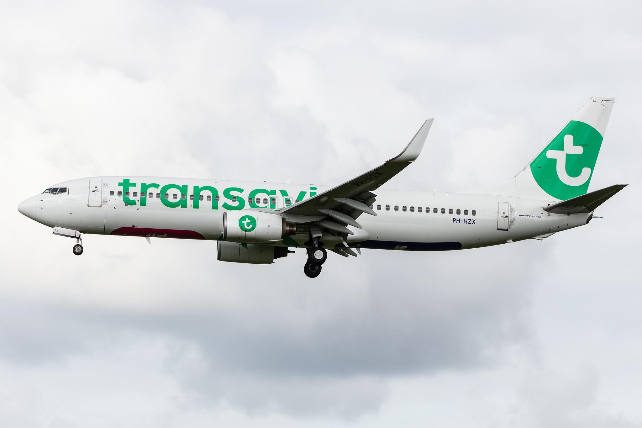 Amsterdam Airport Schiphol: Transavia (HV / TRA) |  Boeing 737-8K2 B738 | PH-HZX | MSN 28248