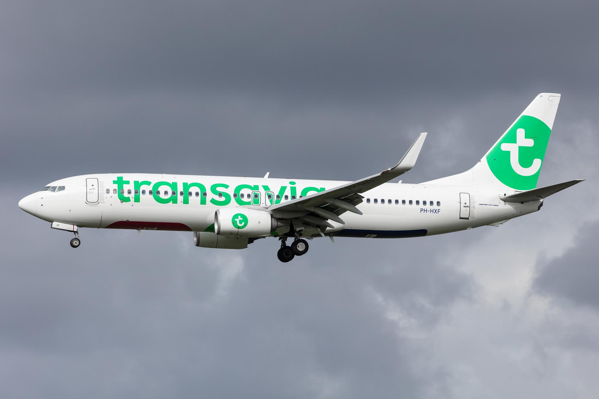 Amsterdam Airport Schiphol: Transavia (HV / TRA) |  Boeing 737-8K2 B738 | PH-HXF | MSN 62153
