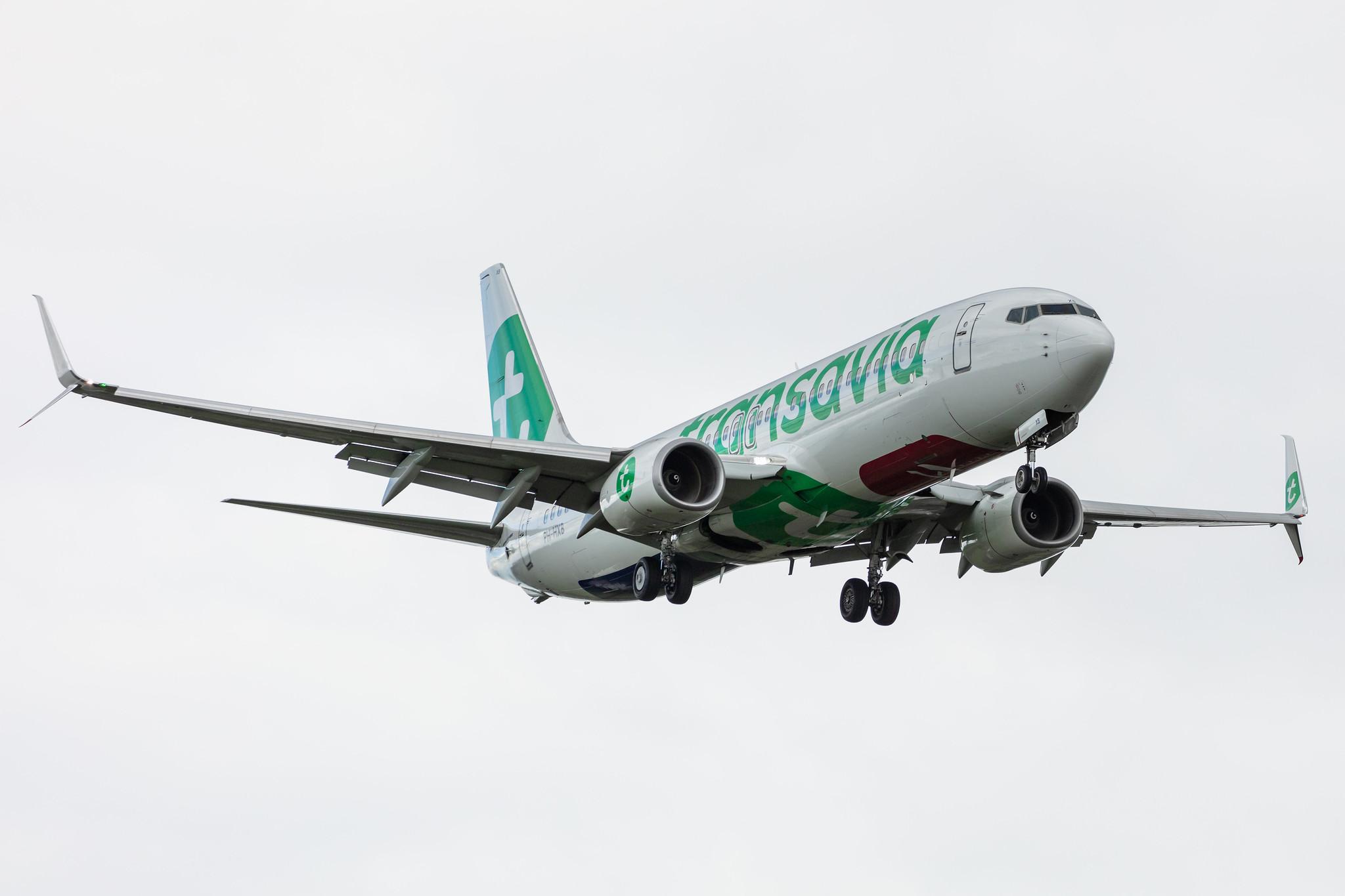 Amsterdam Airport Schiphol: Transavia (HV / TRA) |  Boeing 737-8K2 B738 | PH-HXB | MSN 41340