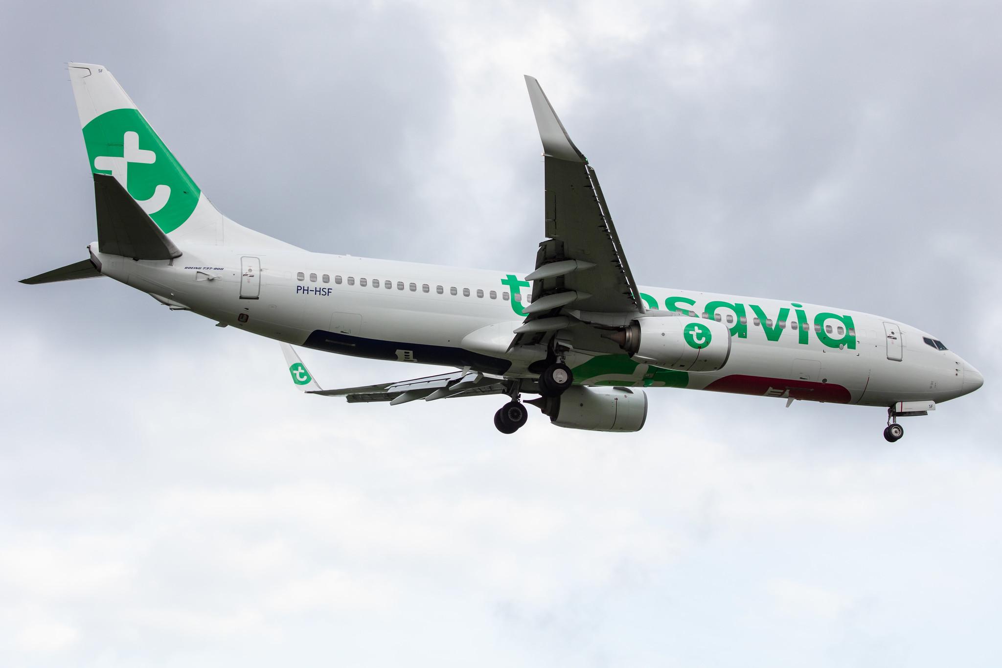 Amsterdam Airport Schiphol: Transavia (HV / TRA) |  Boeing 737-8K2 B738 | PH-HSF | MSN 39261