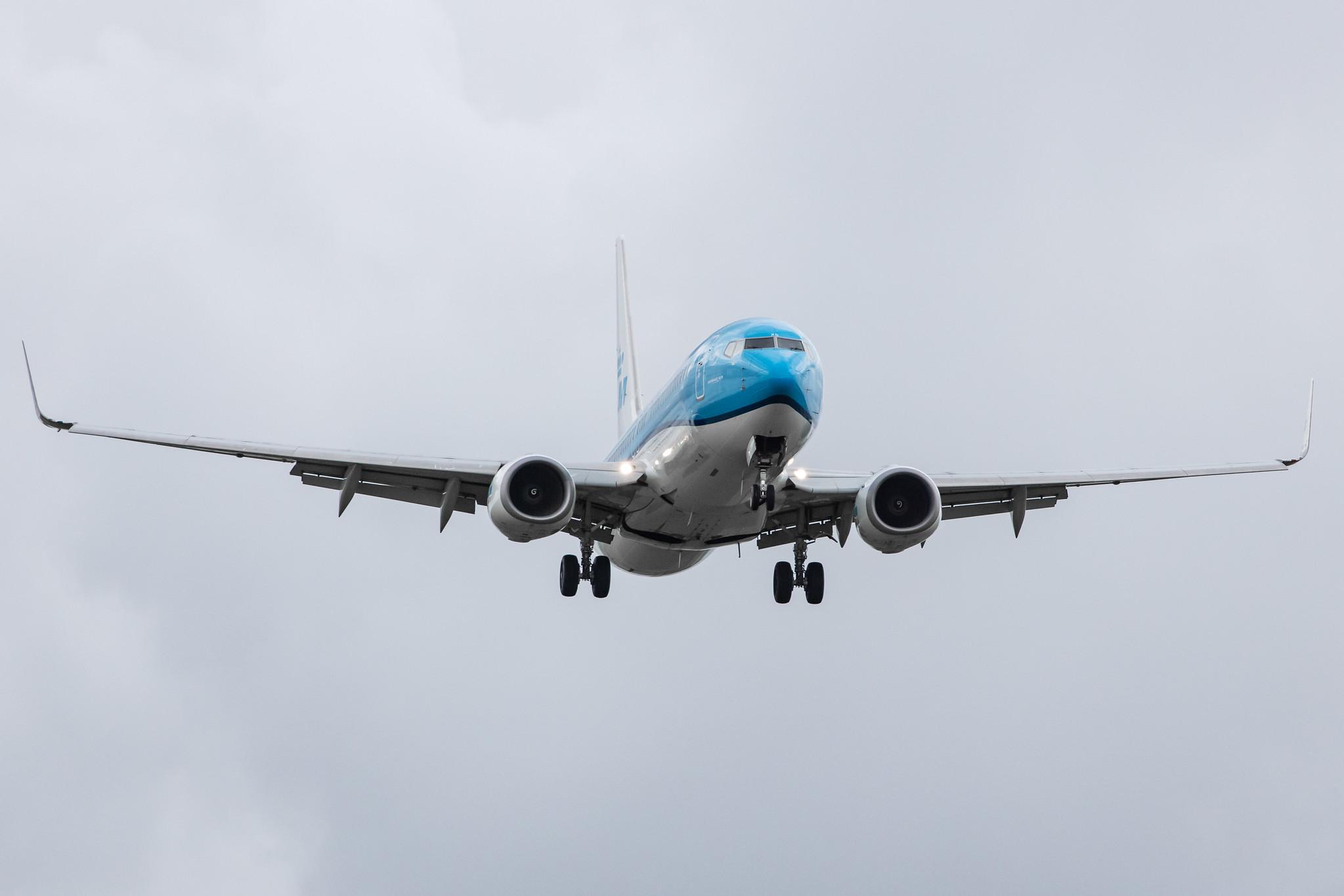 Amsterdam Airport Schiphol: KLM (KL / KLM) |  Boeing 737-8K2 B738 | PH-BXD | MSN 29134