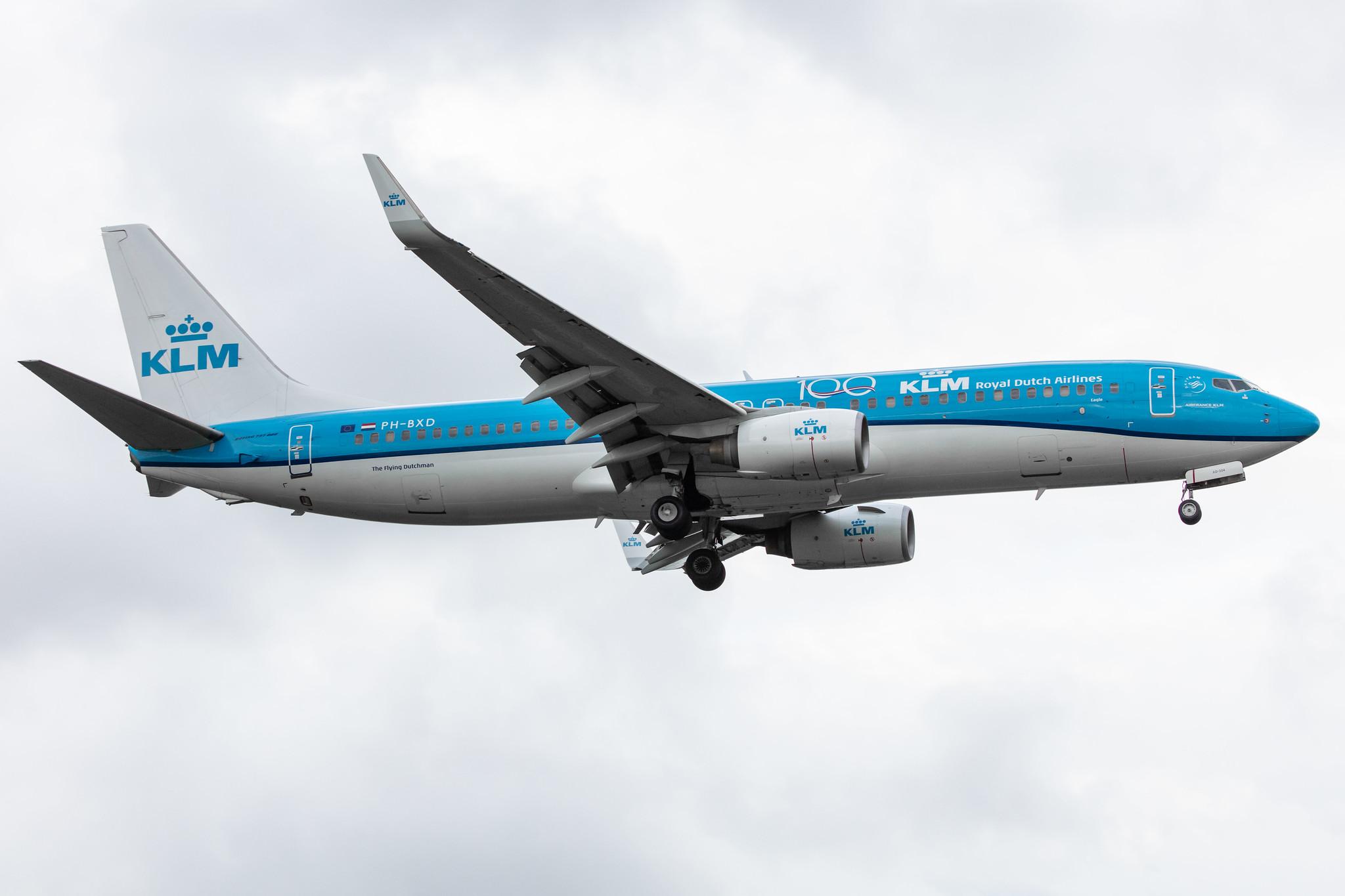 Amsterdam Airport Schiphol: KLM (KL / KLM) |  Boeing 737-8K2 B738 | PH-BXD | MSN 29134