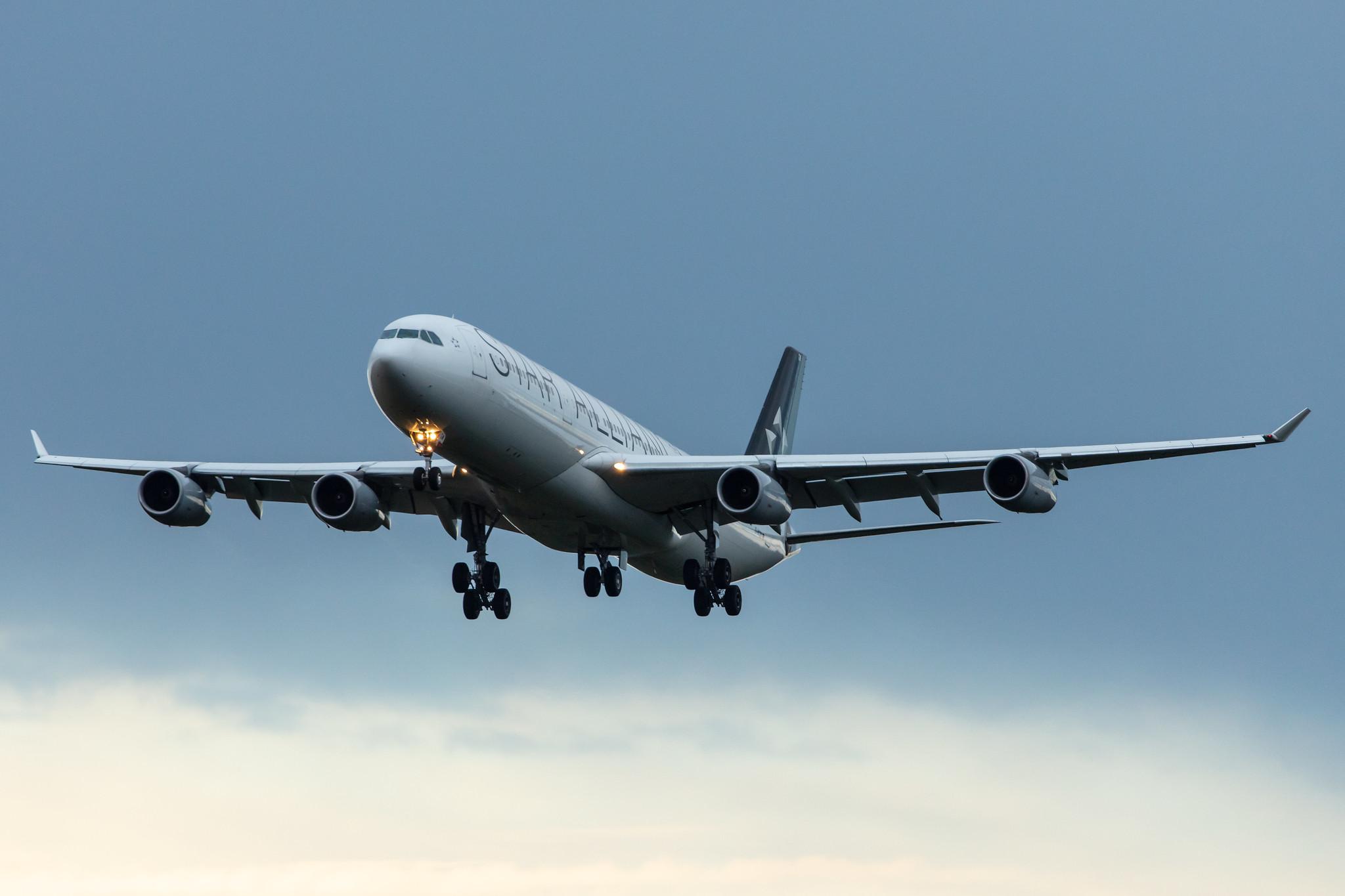 Frankfurt Airport: Lufthansa (LH / DLH) |  Livery: Star Alliance Livery |  Airbus A340-313 A343 | D-AIGW | MSN 0327