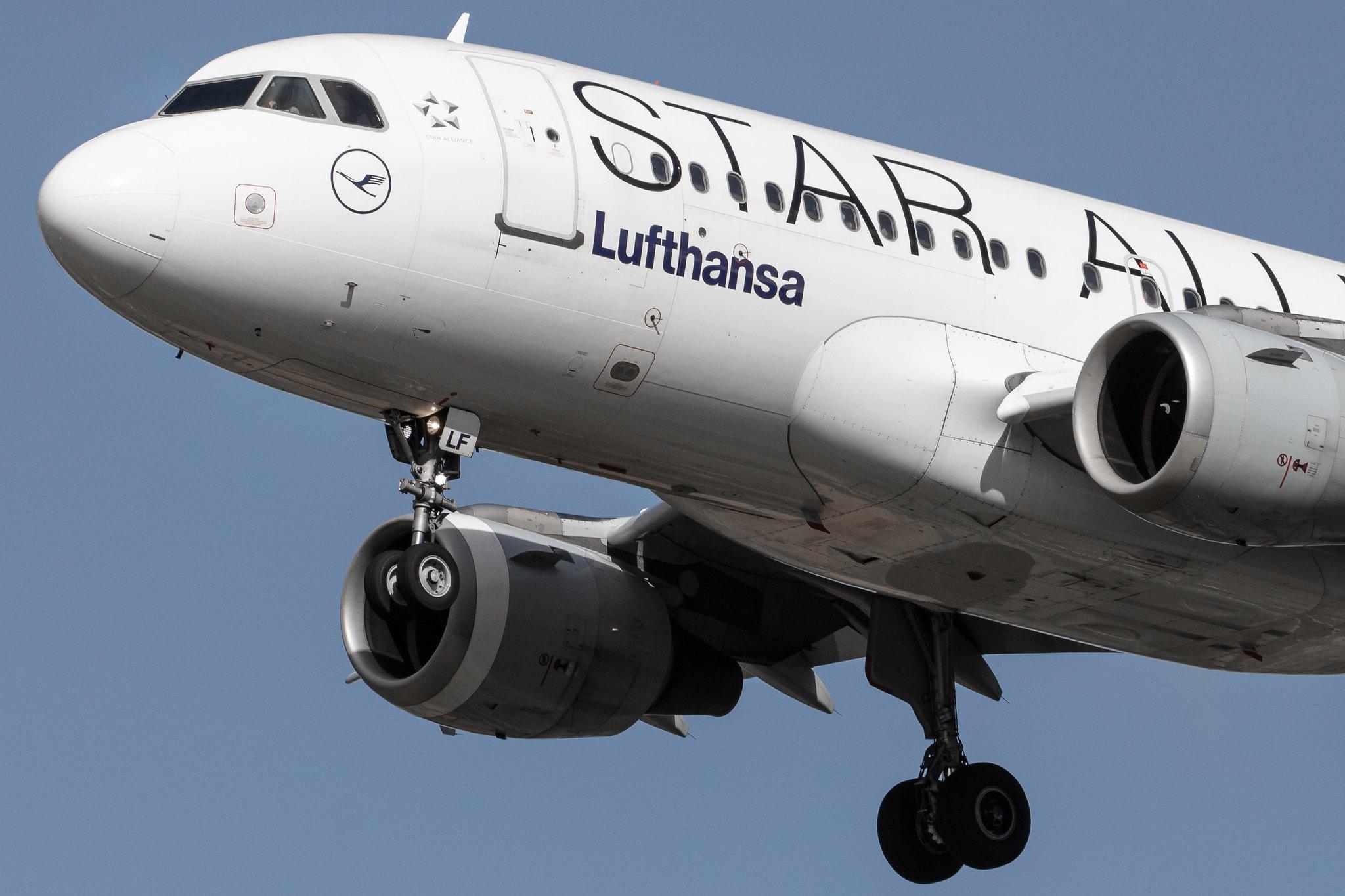 Frankfurt Airport: Lufthansa (LH / DLH) |  Livery: Star Alliance Livery |  Airbus A319-114 A319 | D-AILF | MSN 0636
